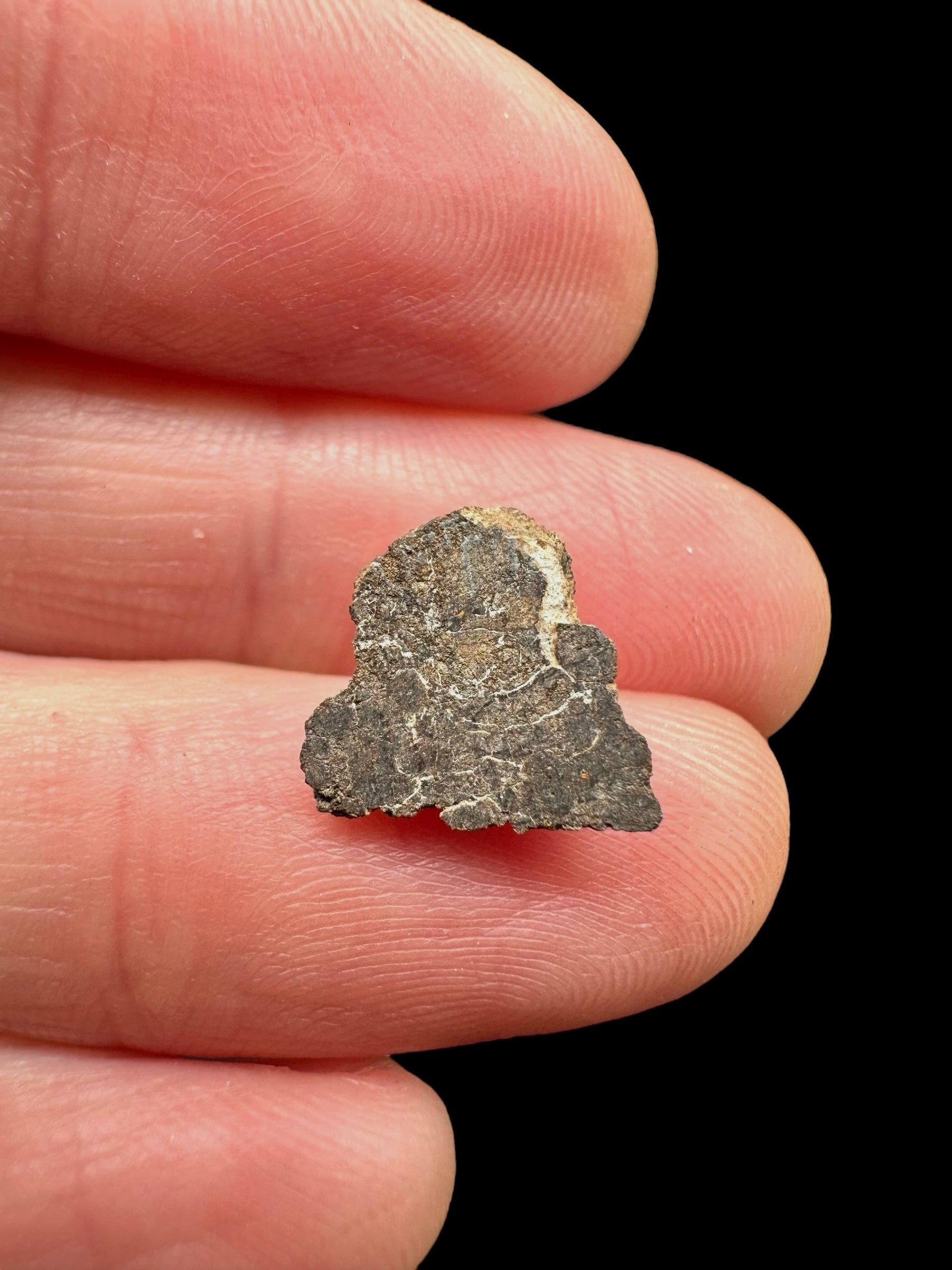 Meteorite Al Haggounia 001 – 0,5g – Western Sahara
