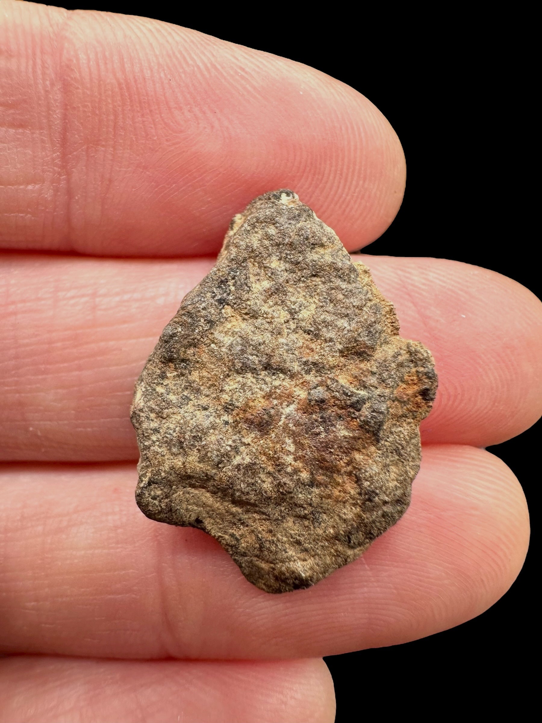 Meteorite Al Haggounia 001 – 2g – Western Sahara - MEAH80