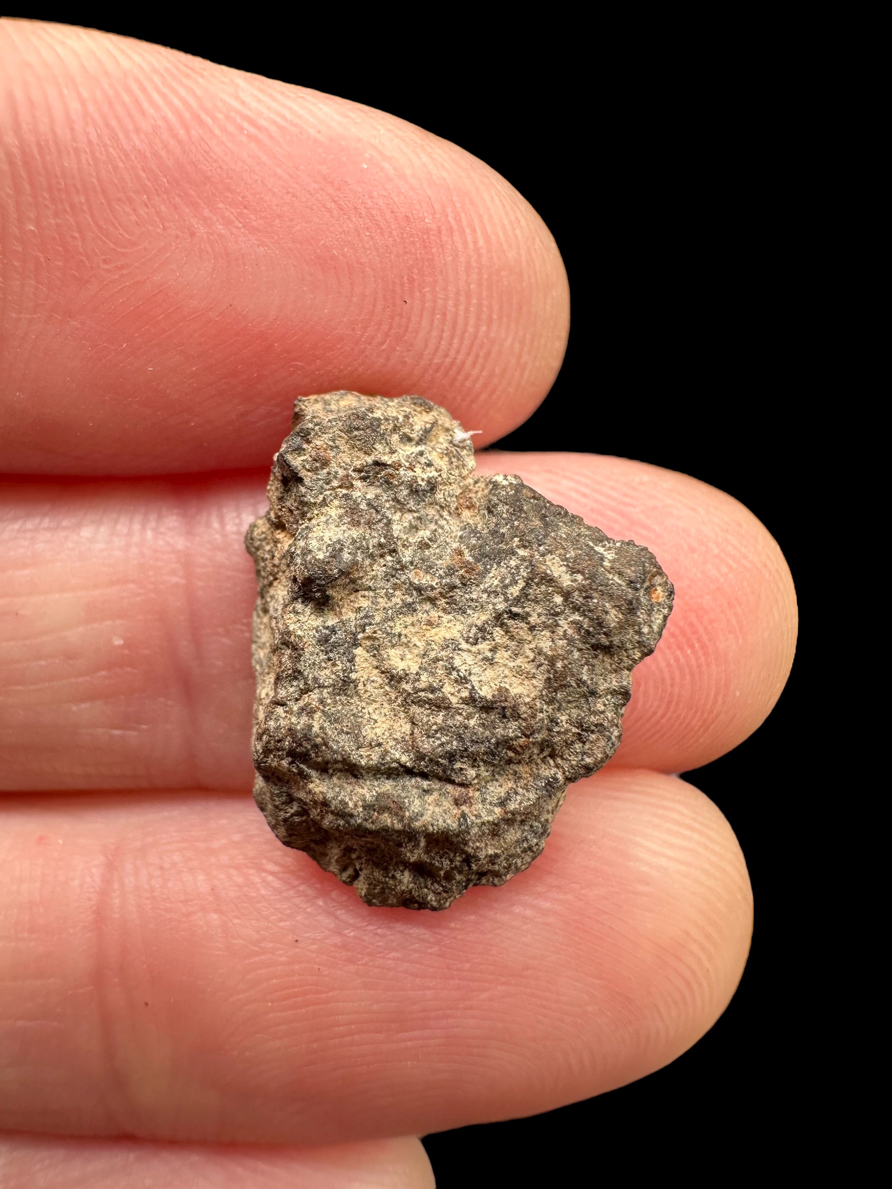 Meteorite Al Haggounia 001 – 1,5g – Western Sahara - MEAH81
