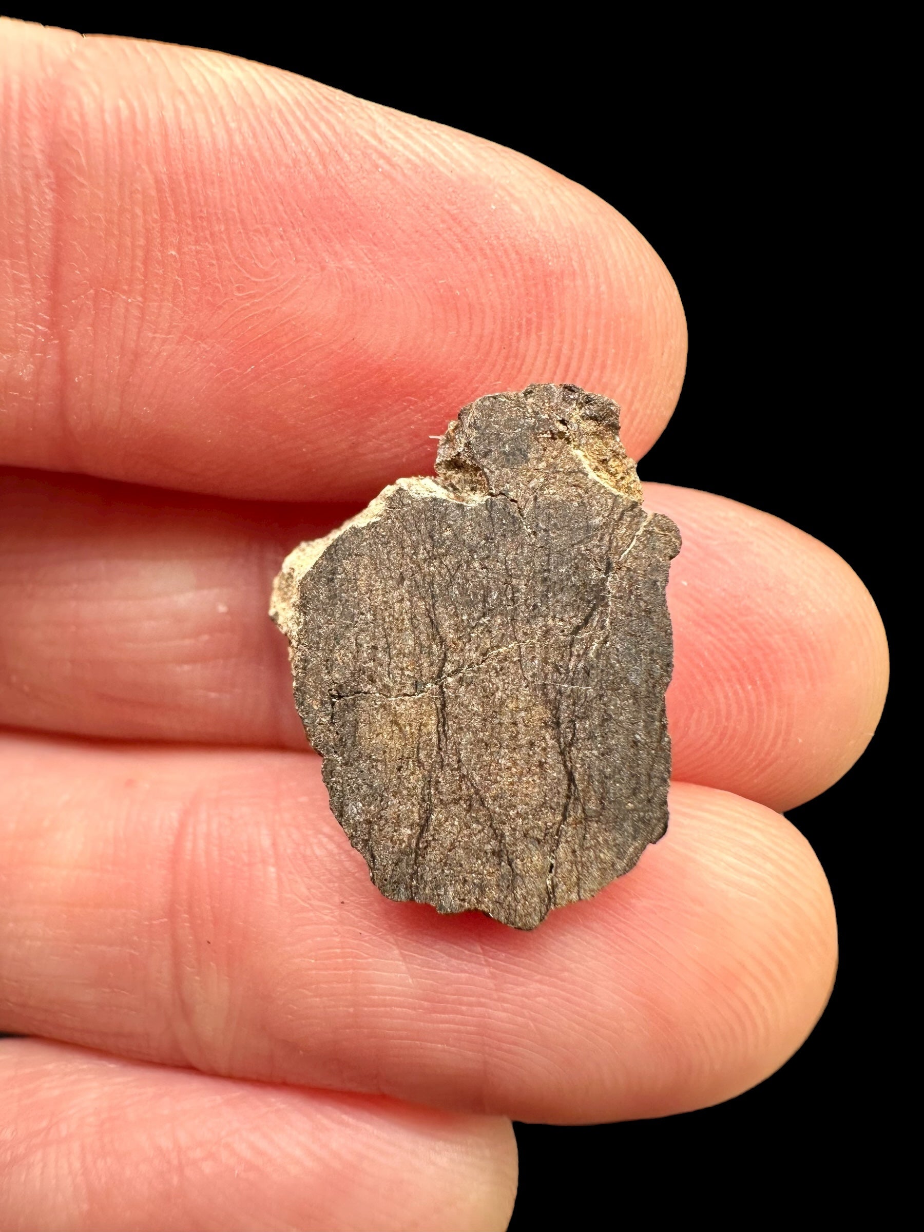 Meteorite Al Haggounia 001 – 1,5g – Western Sahara