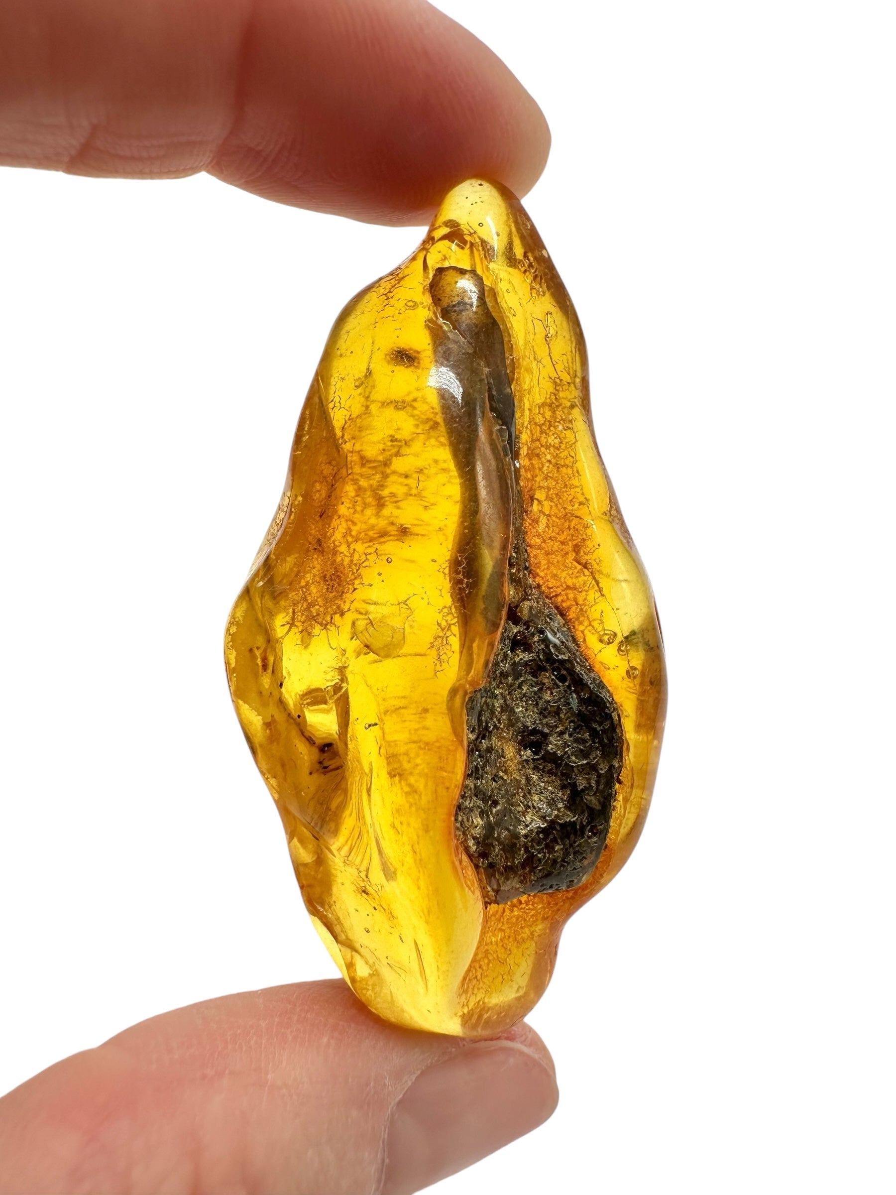 Amber 11,4g – Lithuania - JN795