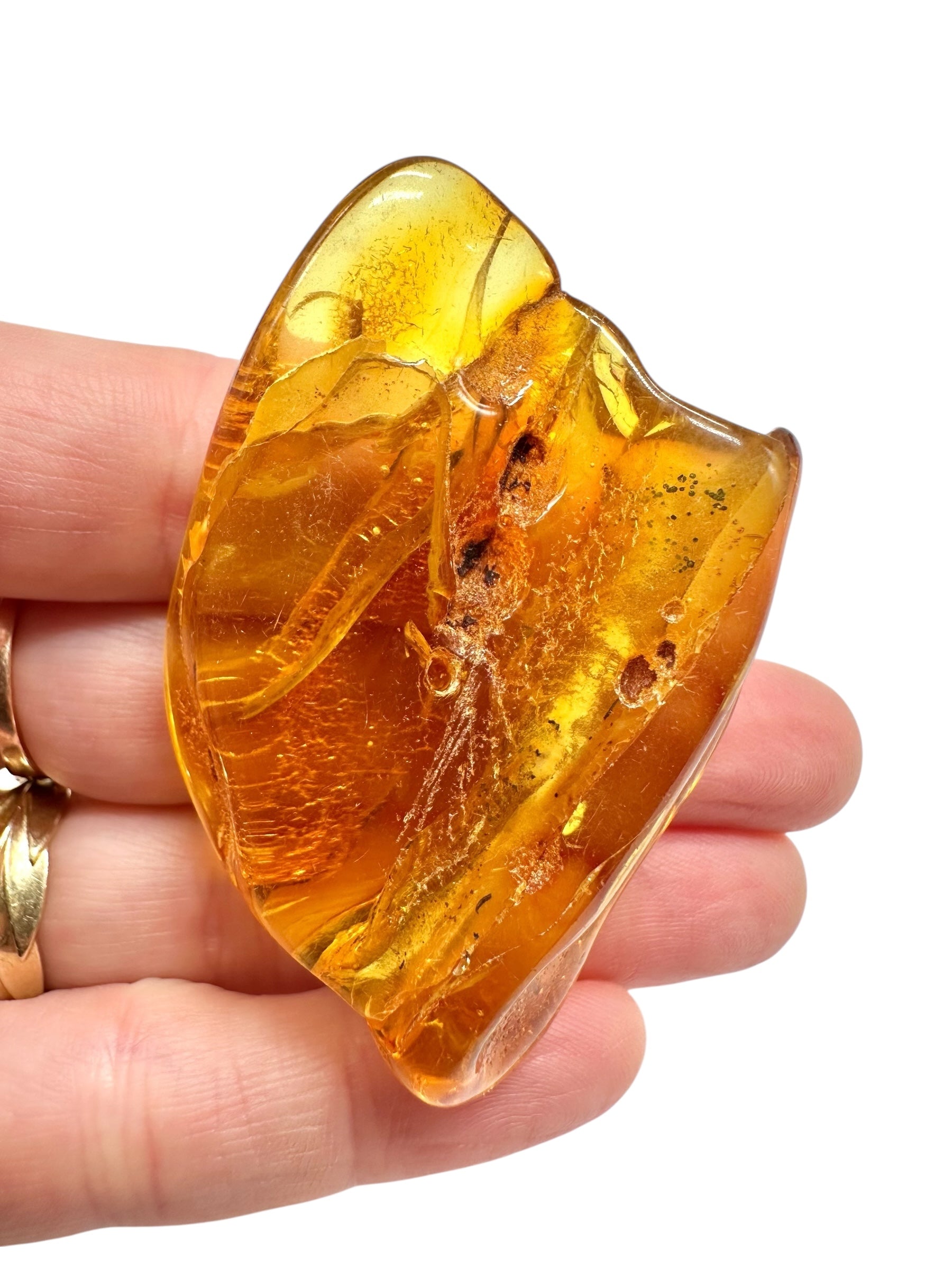 Amber 16g – Lithuania - JN797