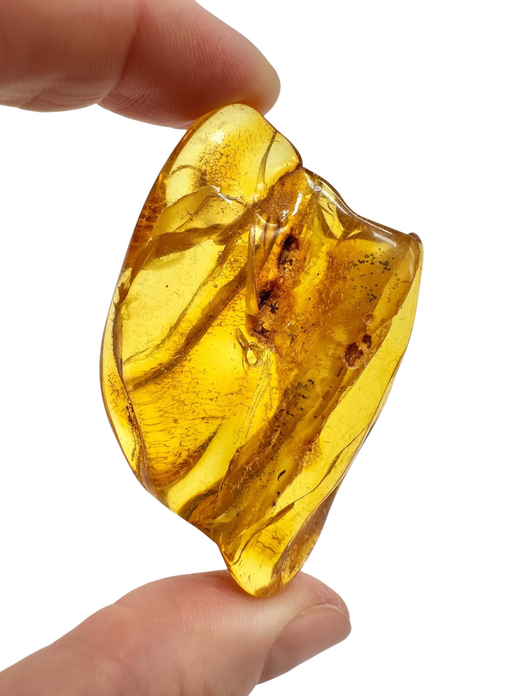 Amber 16g – Lithuania - JN797