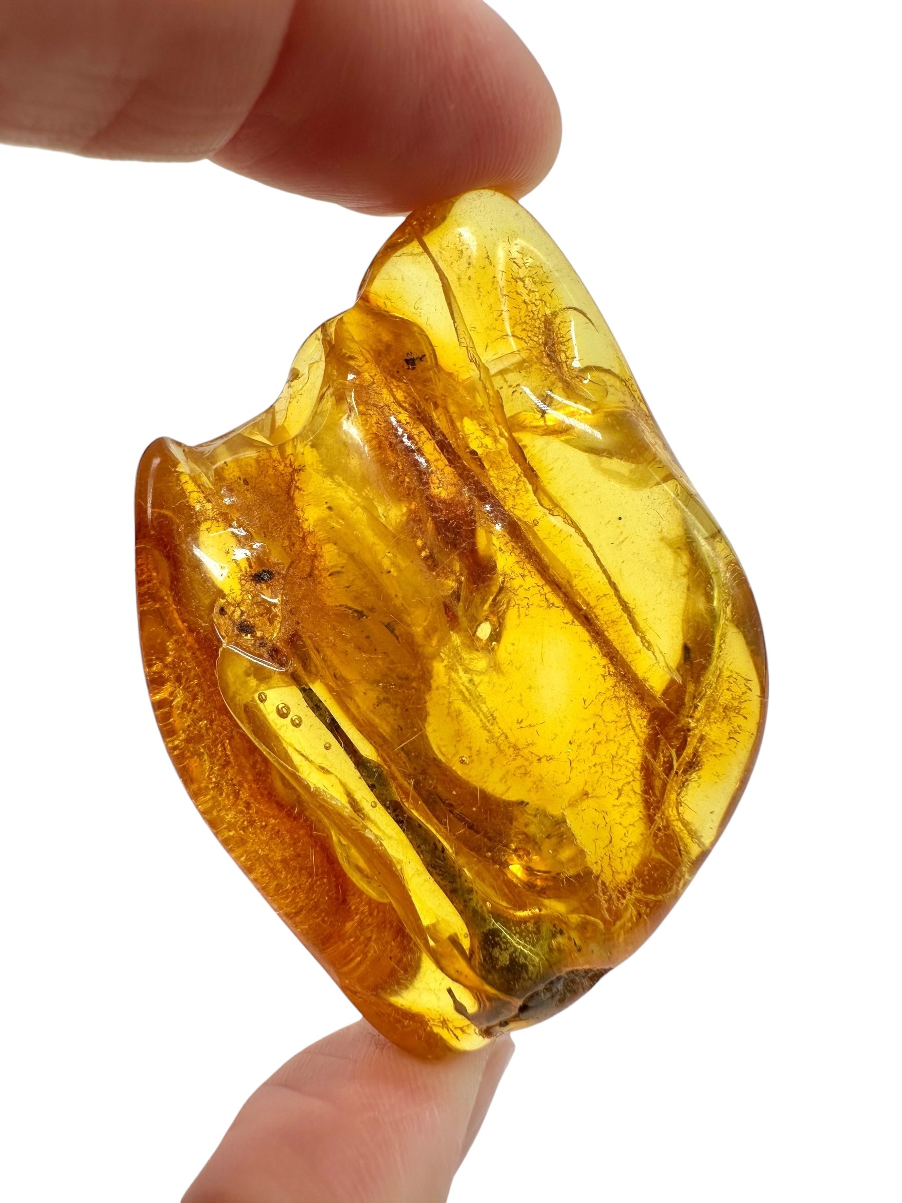 Amber 16g – Lithuania - JN797