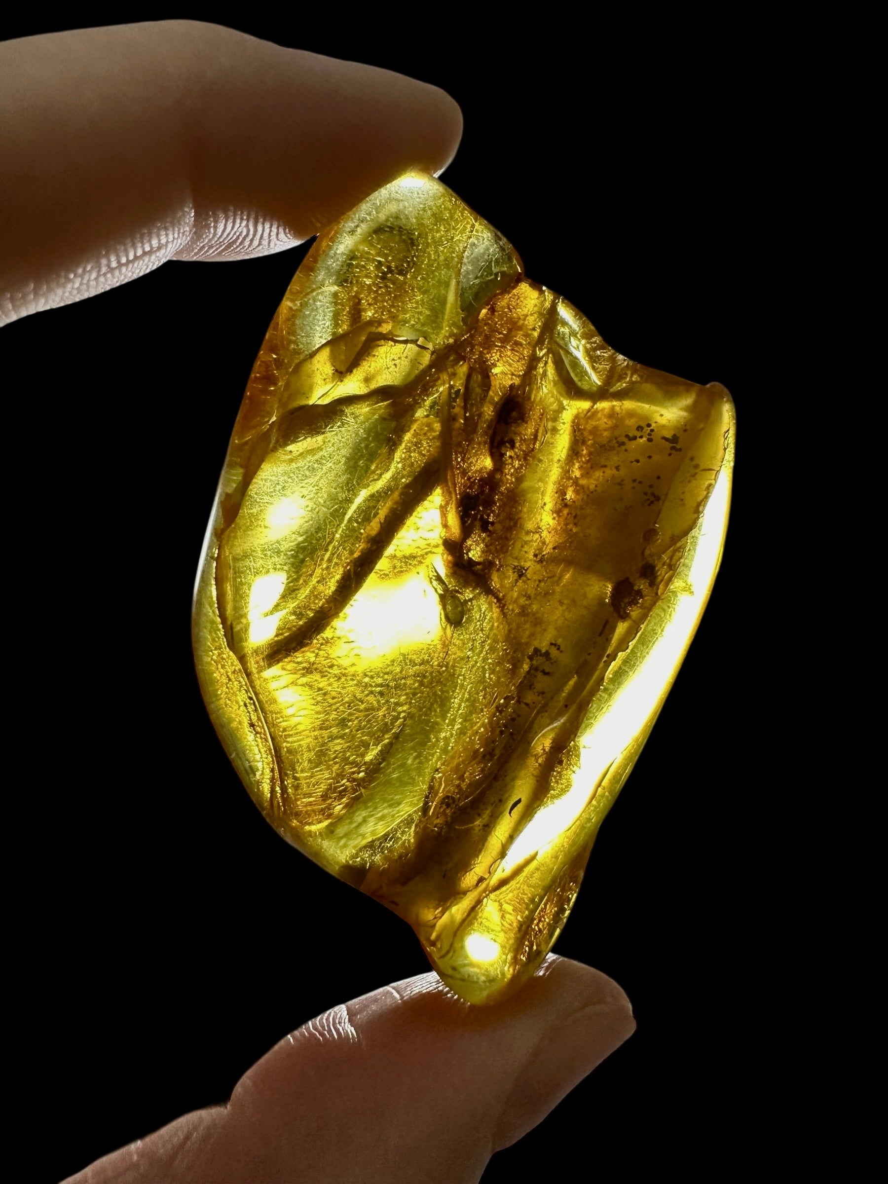 Amber 16g – Lithuania - JN797