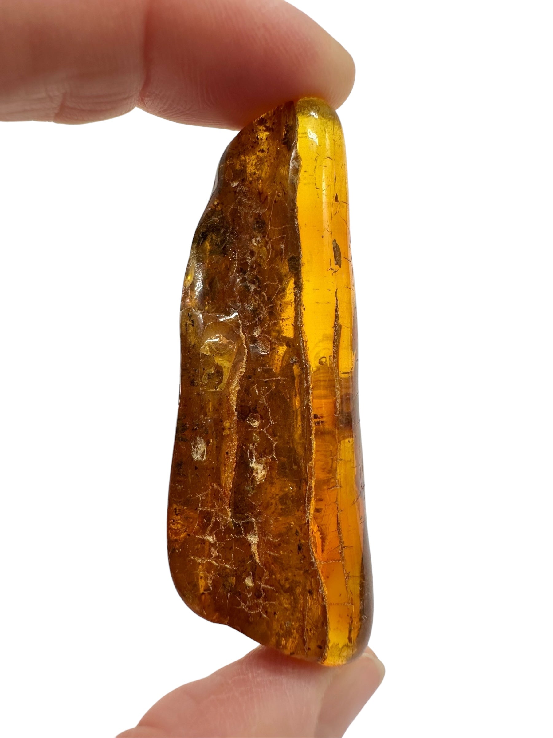 Amber 11,1g – Lithuania - JN803