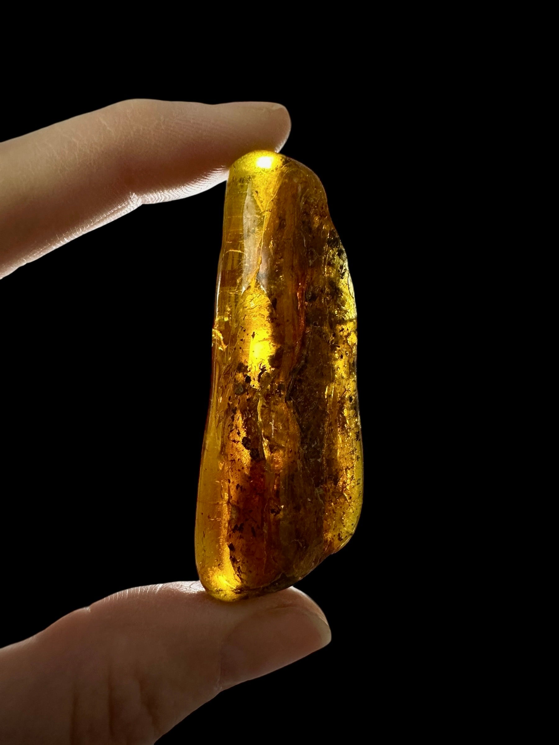 Amber 11,1g – Lithuania - JN803