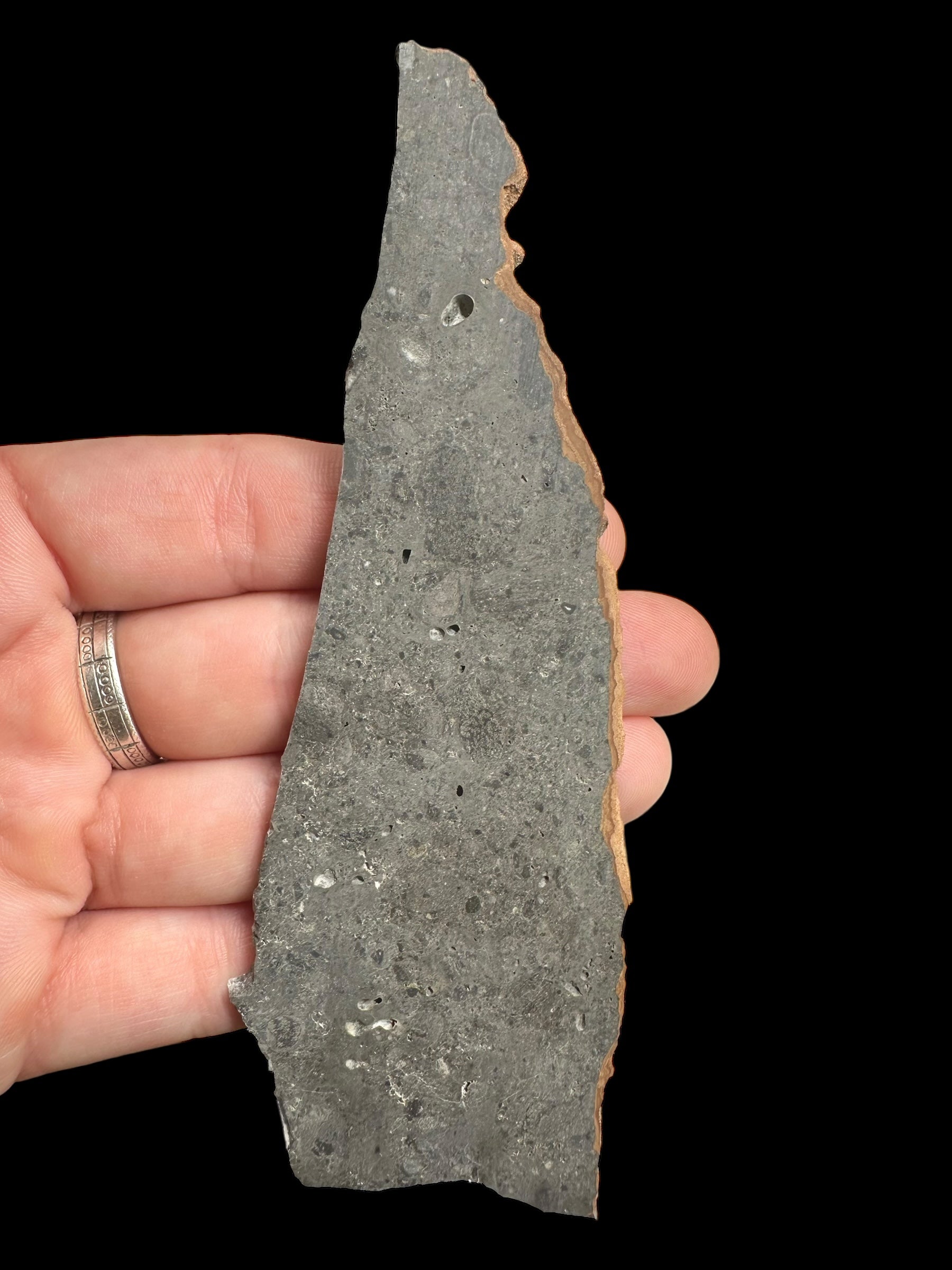 Lunar meteorite El Atchane 024 – 23,8g – Algeria - MEAT24