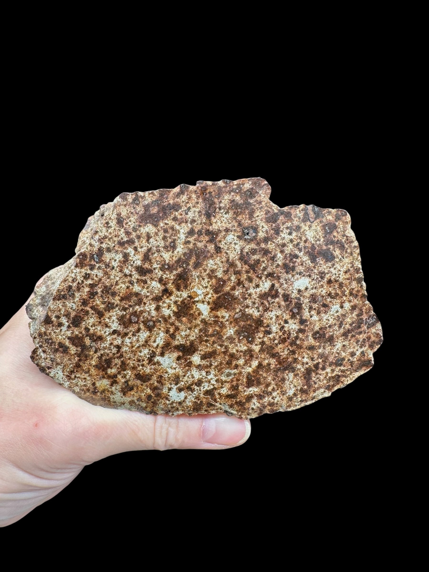 Meteorite NWA X 441,7g – Northwest Africa - MENX21