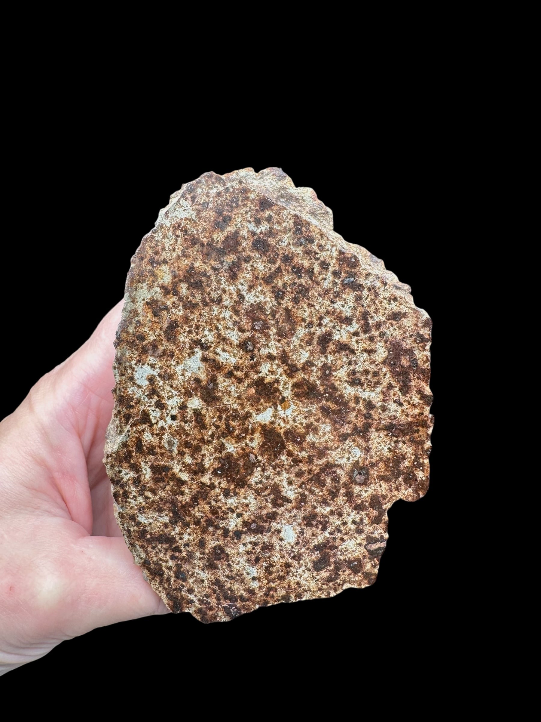Meteorite NWA X 441,7g – Northwest Africa - MENX21