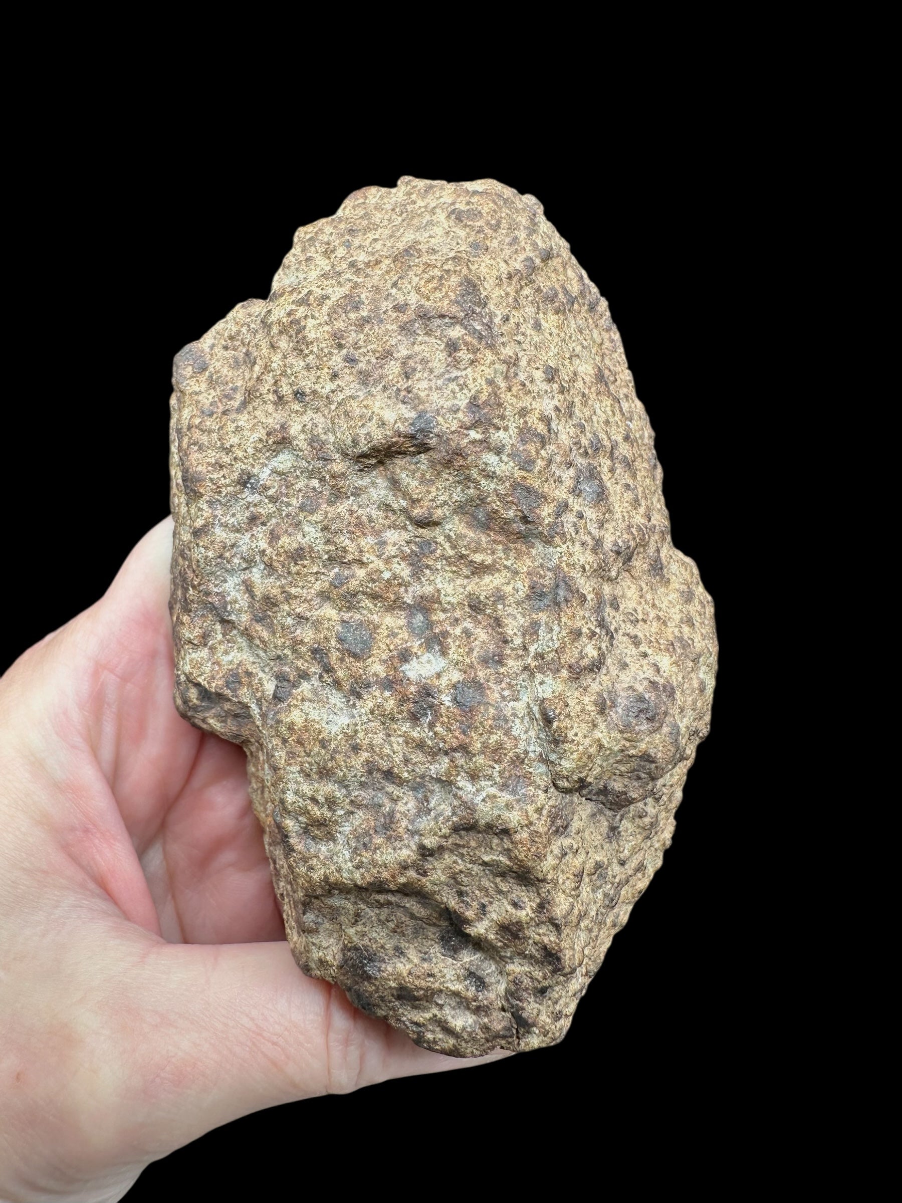 Meteorite NWA X 441,7g – Northwest Africa - MENX21