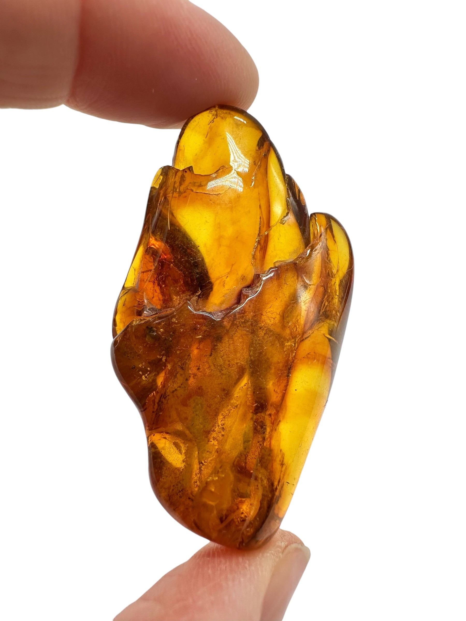 Amber 11,9g – Lithuania - JN805