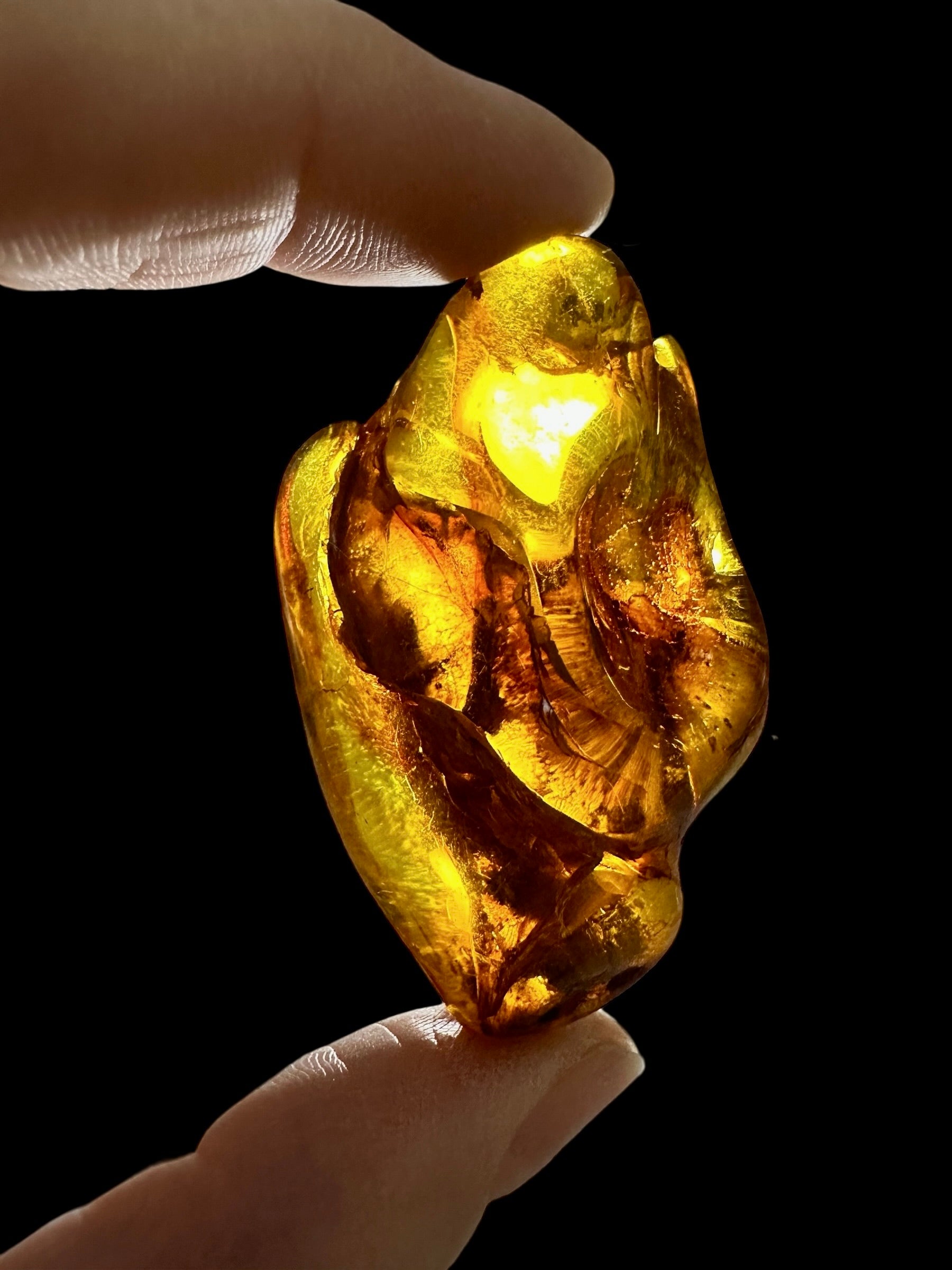 Amber 11,9g – Lithuania - JN805
