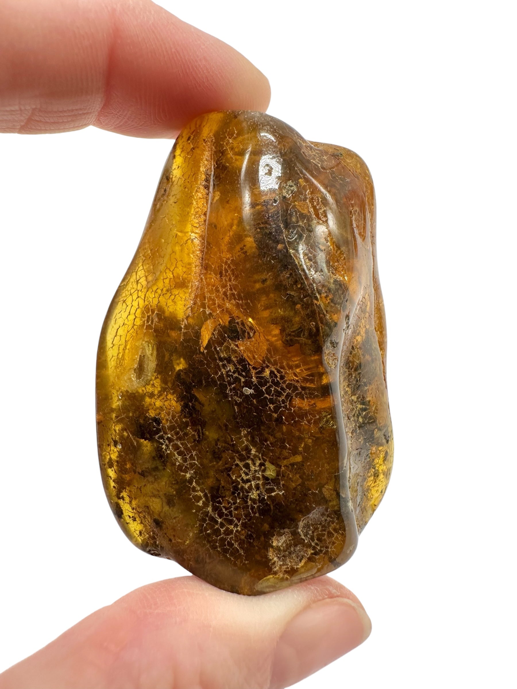 Amber 24,9g – Lithuania - JN806