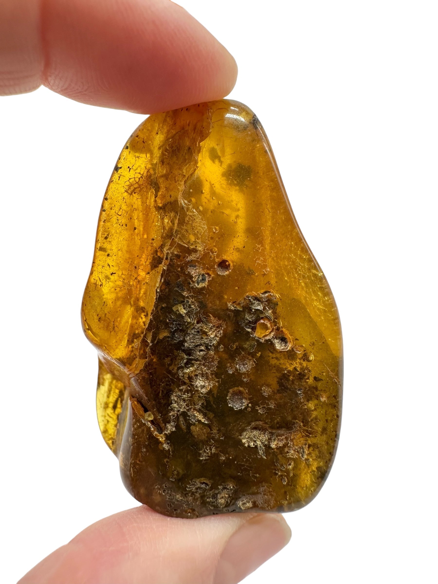 Amber 24,9g – Lithuania - JN806