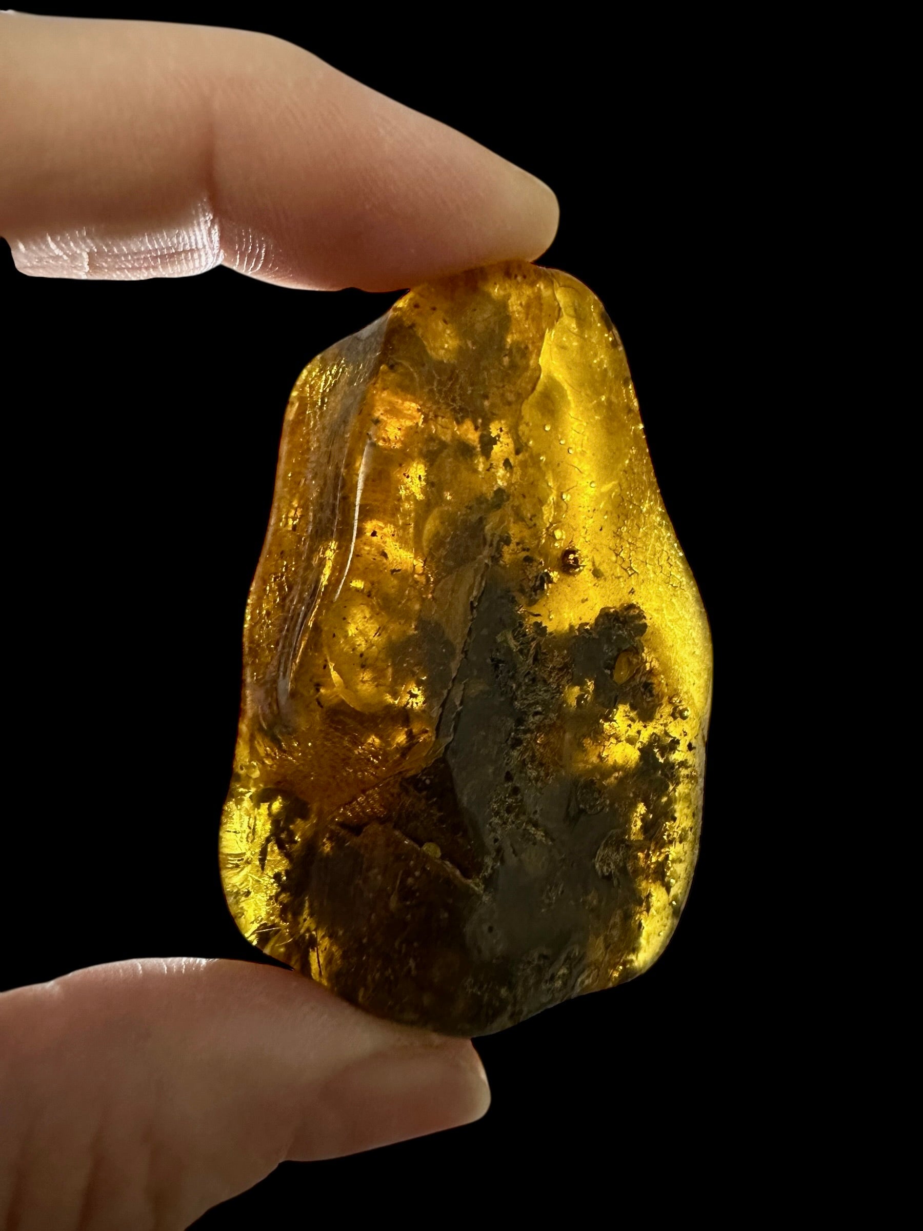 Amber 24,9g – Lithuania - JN806