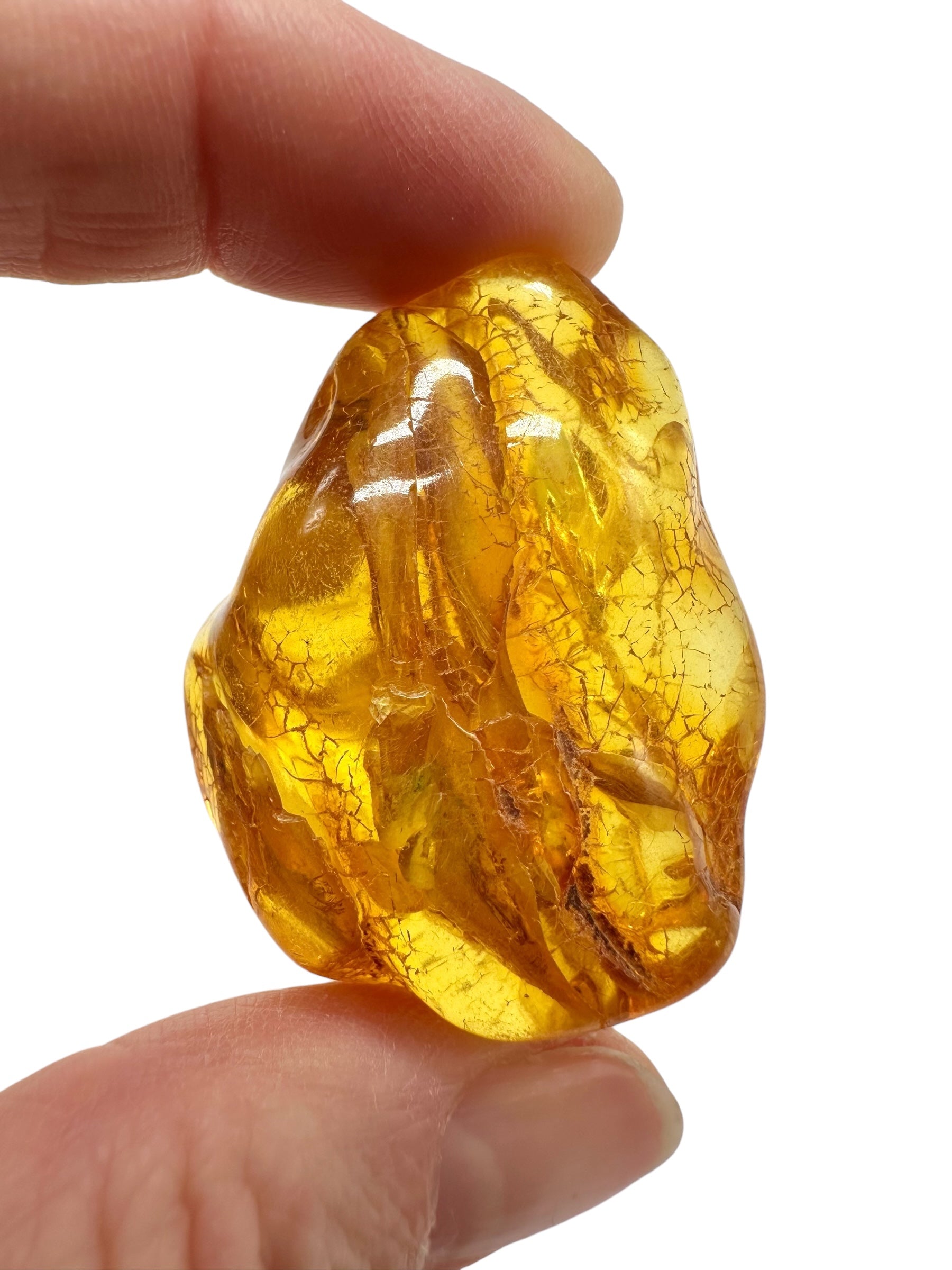 Amber 12g – Lithuania - JN808