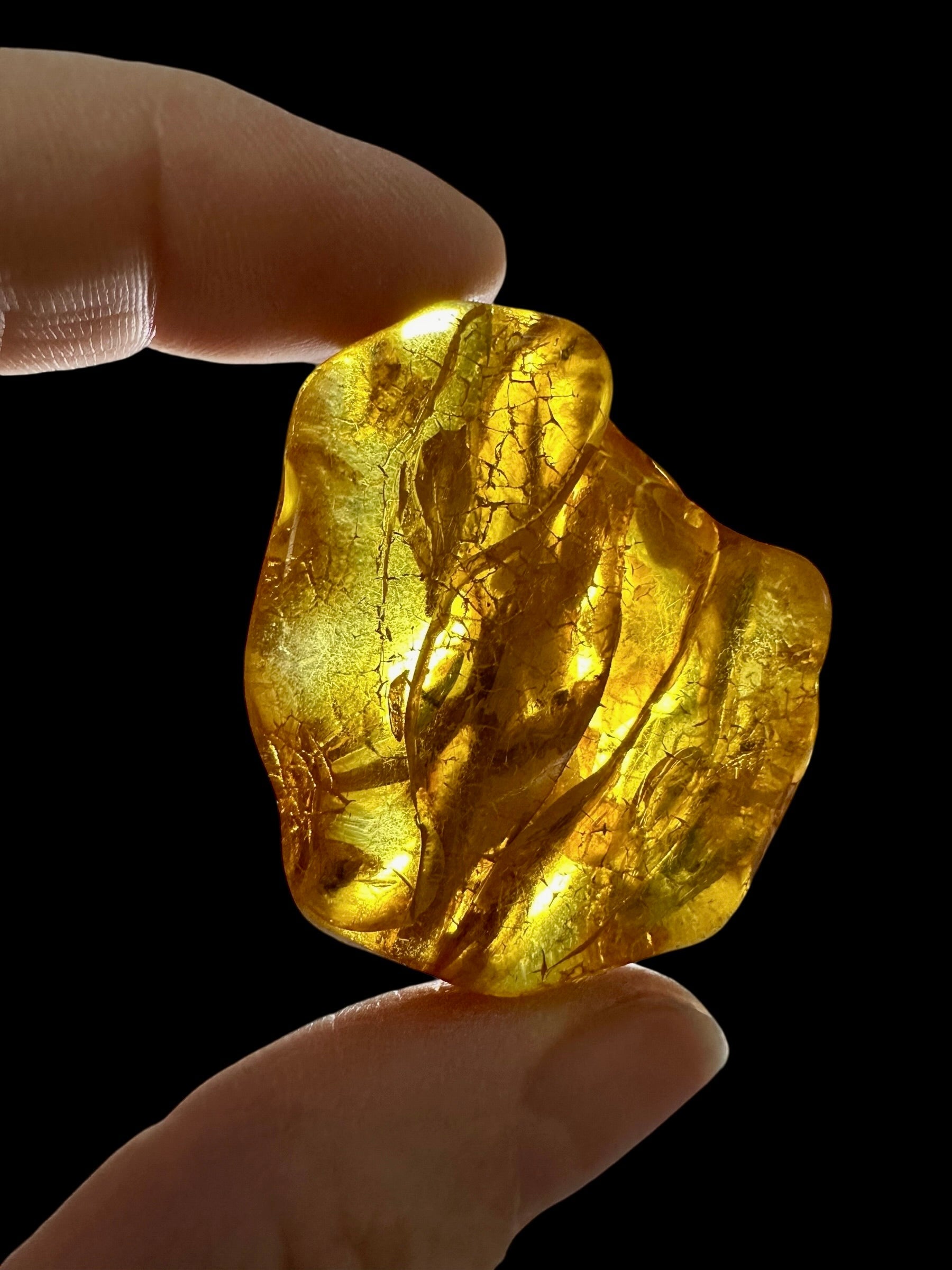 Amber 12g – Lithuania - JN808