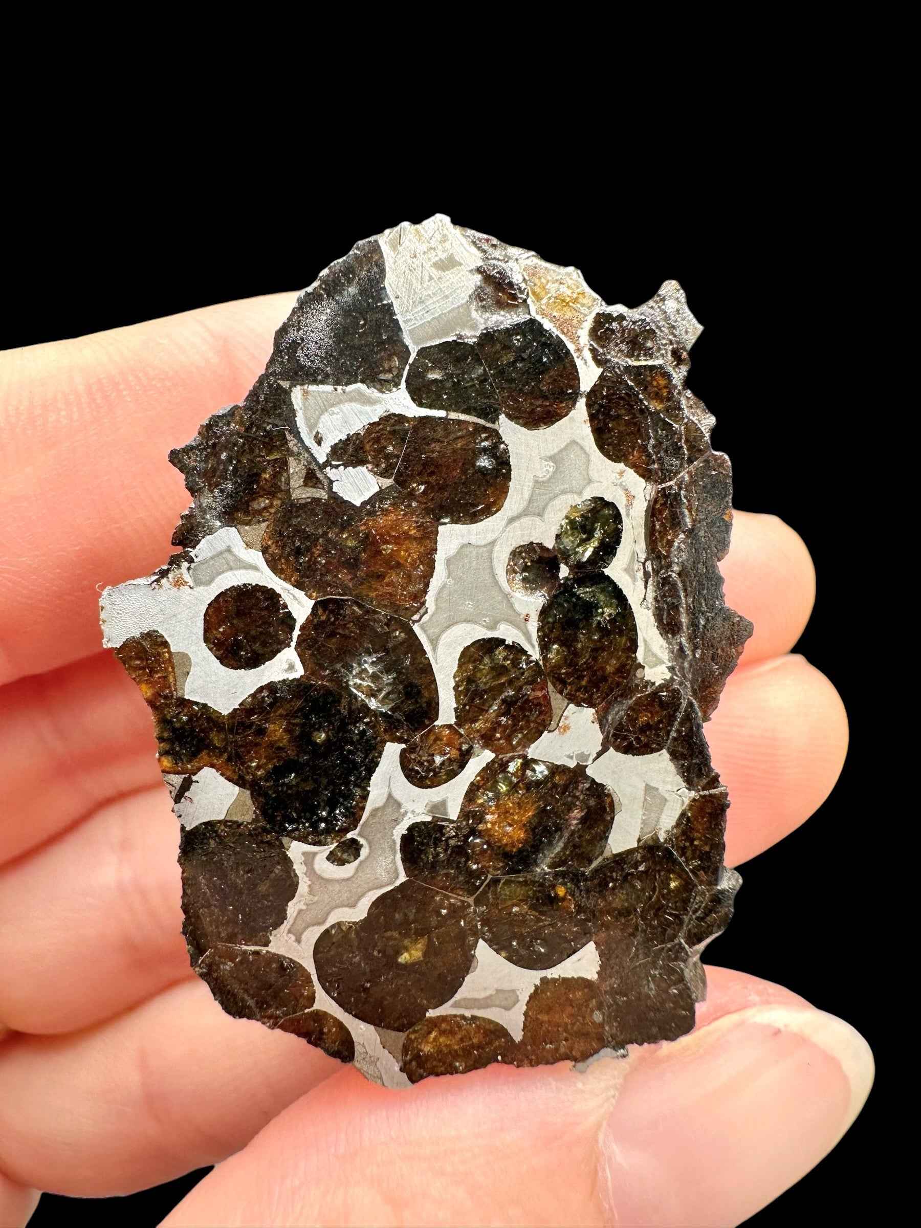 Sericho Pallasite Meteorite 27,1g / endcut – Kenya - MESR165