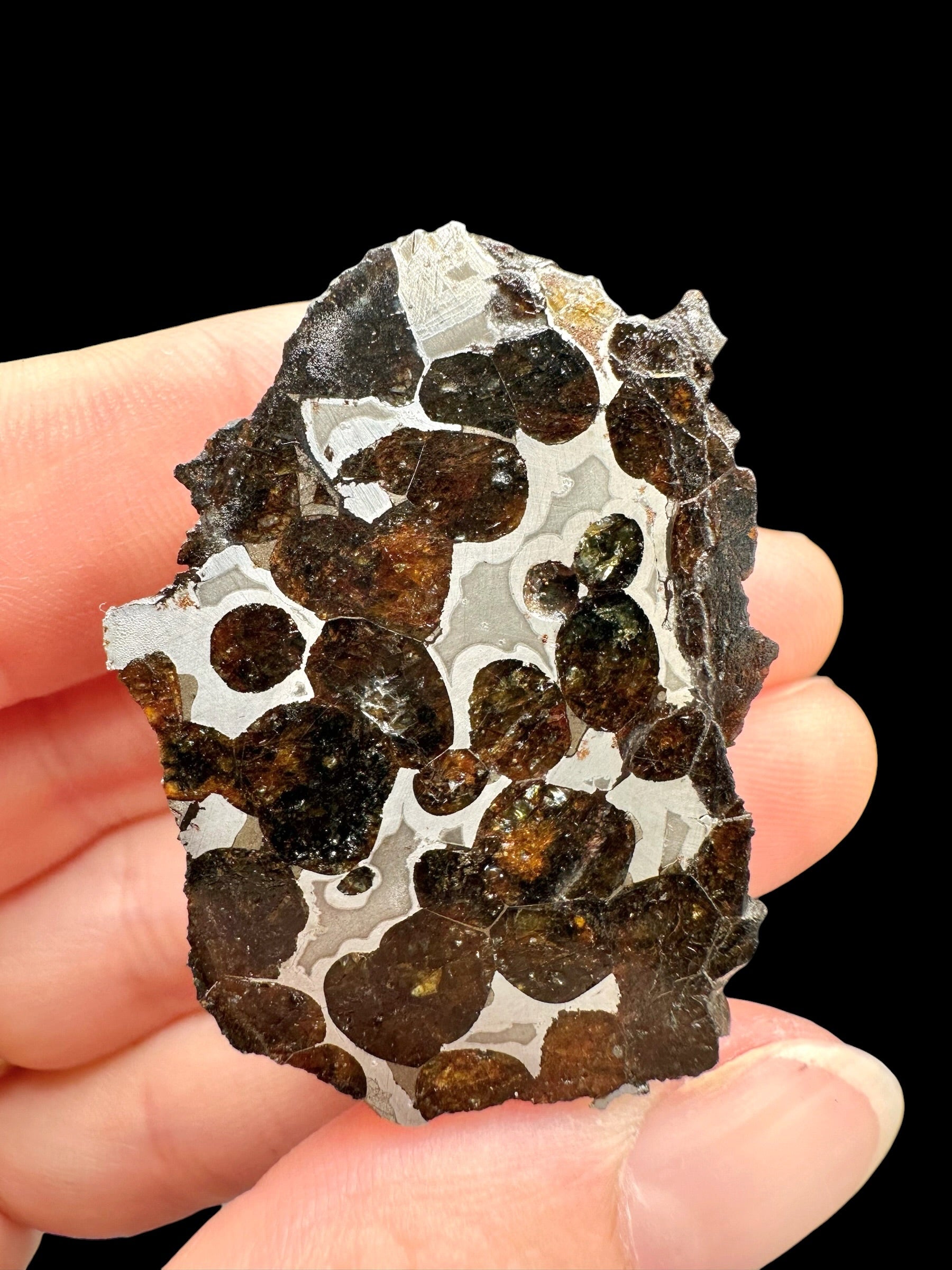 Sericho Pallasite Meteorite 27,1g / endcut – Kenya