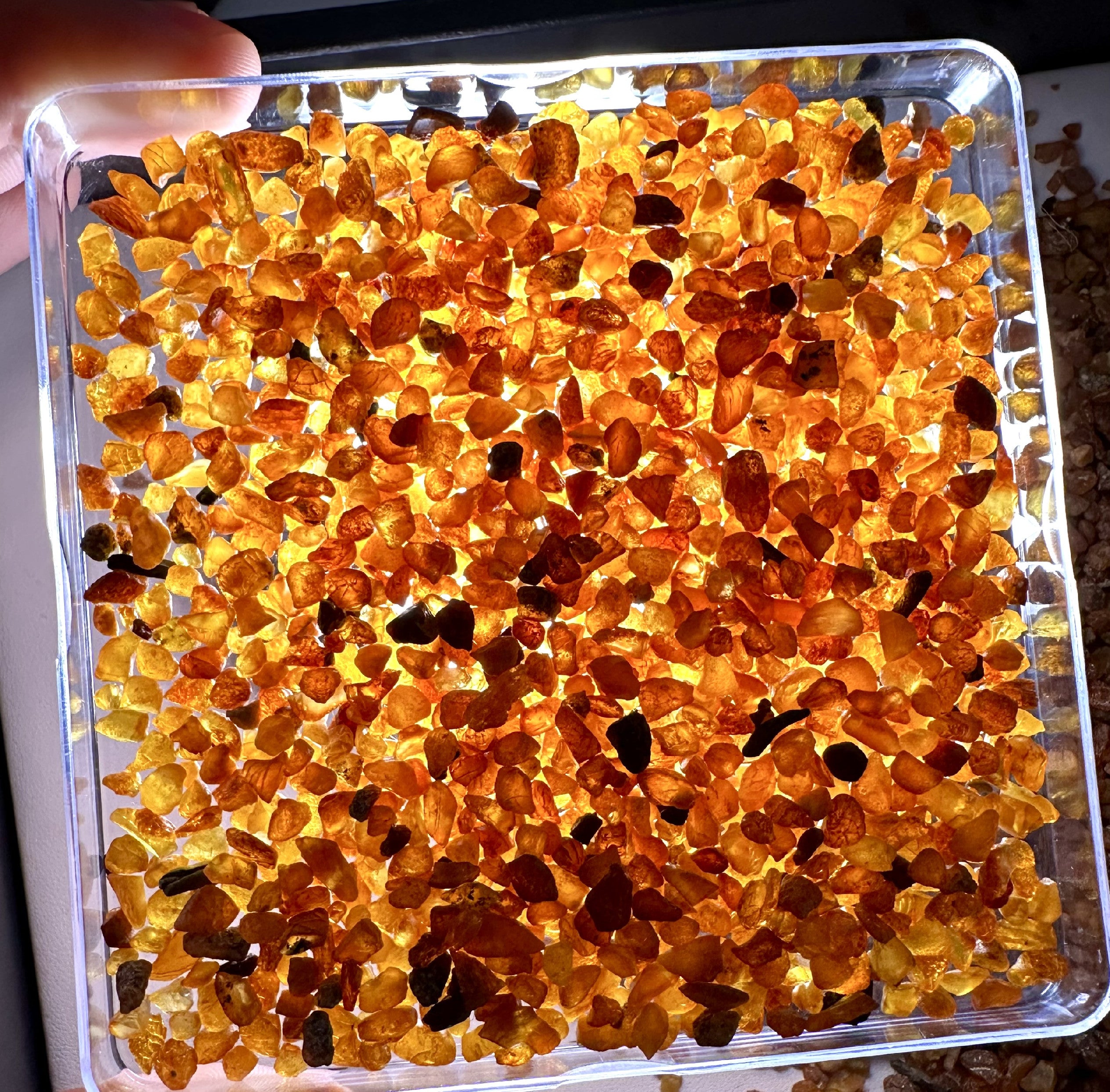 Rough small amber – Gdansk, Poland – 50-1000g - XJ/50G