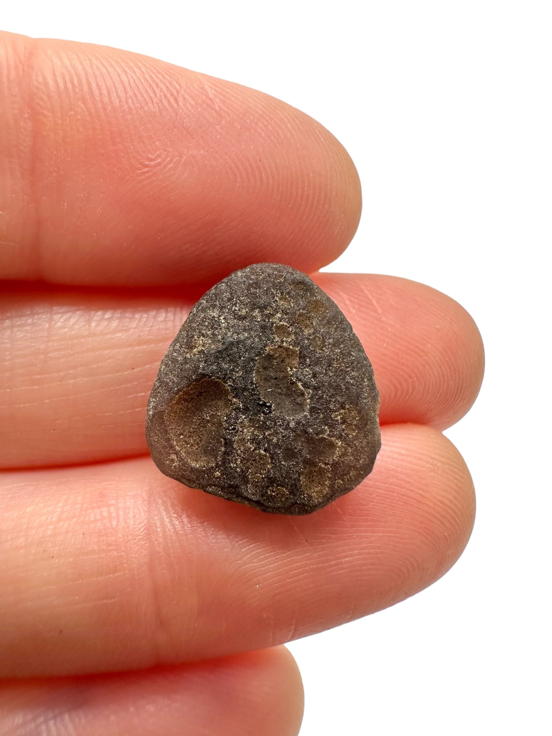 Saffordite 1,4g – Safford, Arizona, USA - SF051