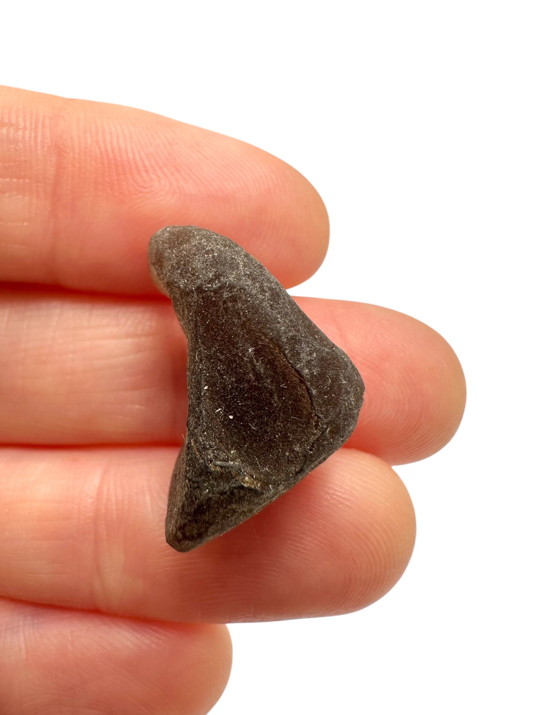 Saffordite 2,9g – Safford, Arizona, USA - SF053