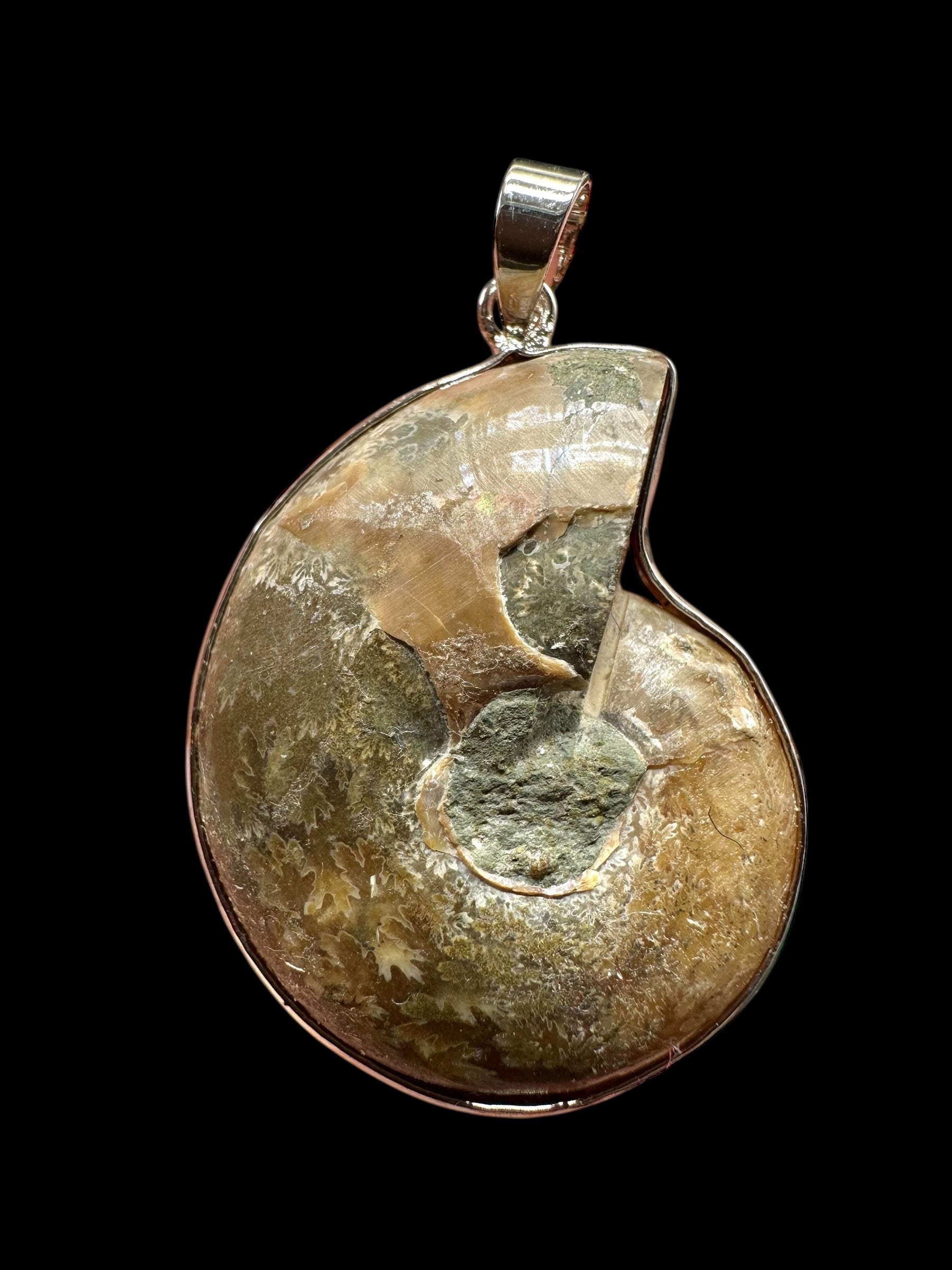 Ammonite pendant 3,7cm – Madagascar - P/AM05