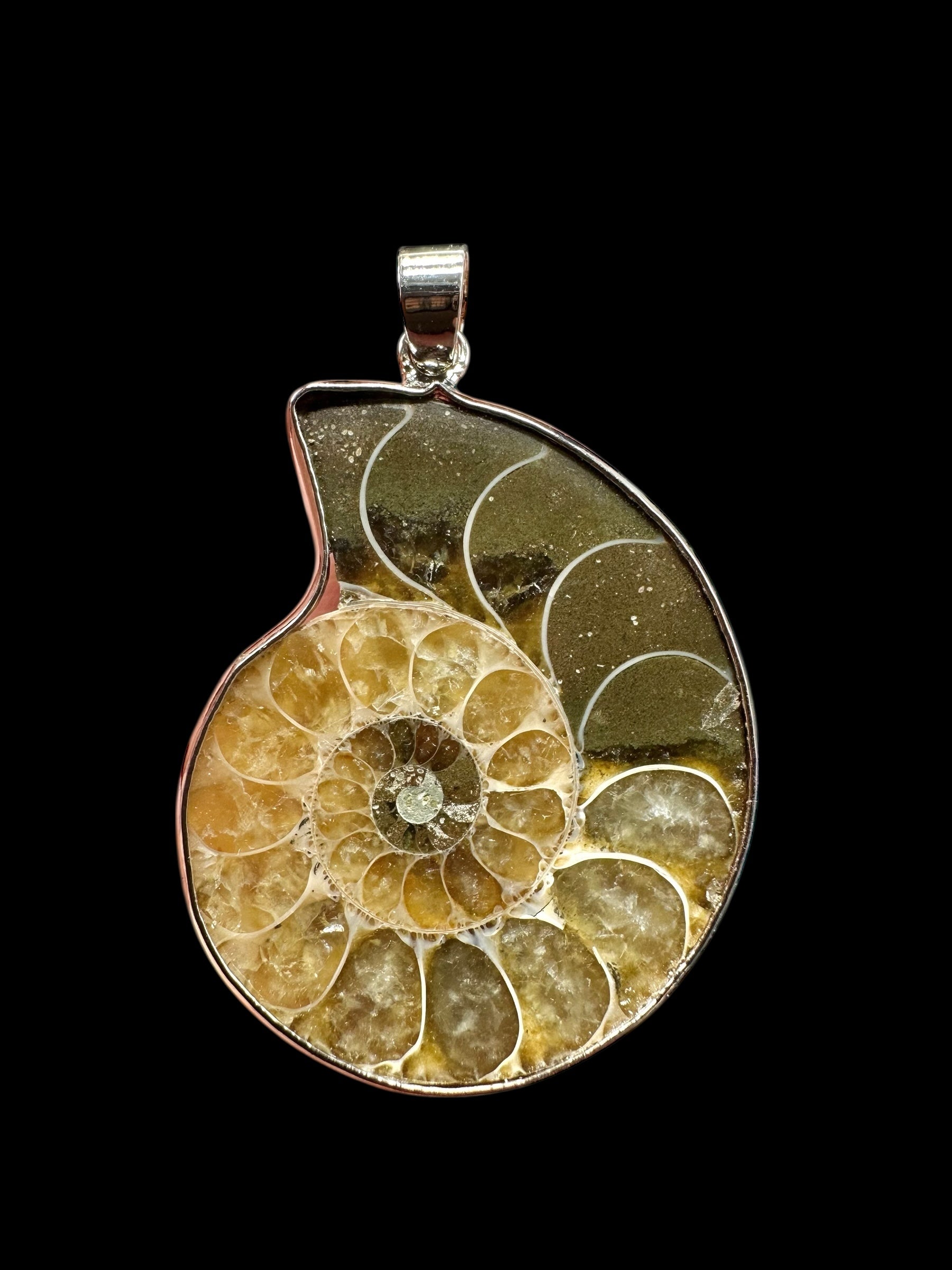 Ammonite pendant 3,7cm – Madagascar