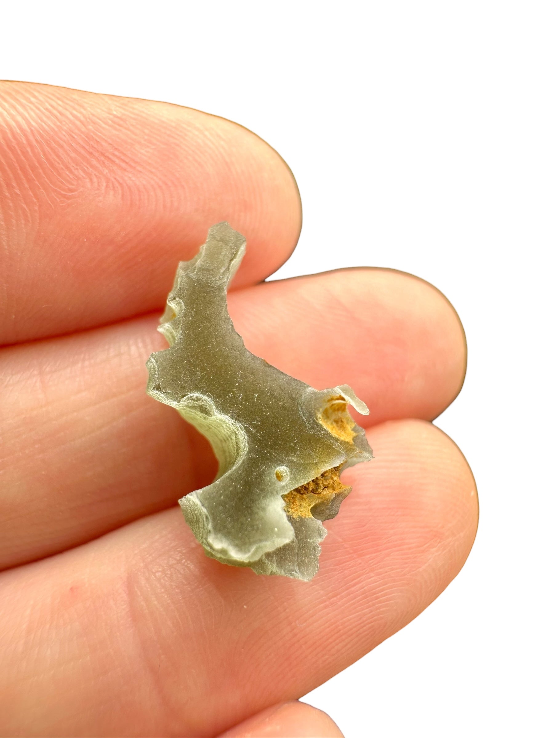 Moldavite – Driten – 1,3g