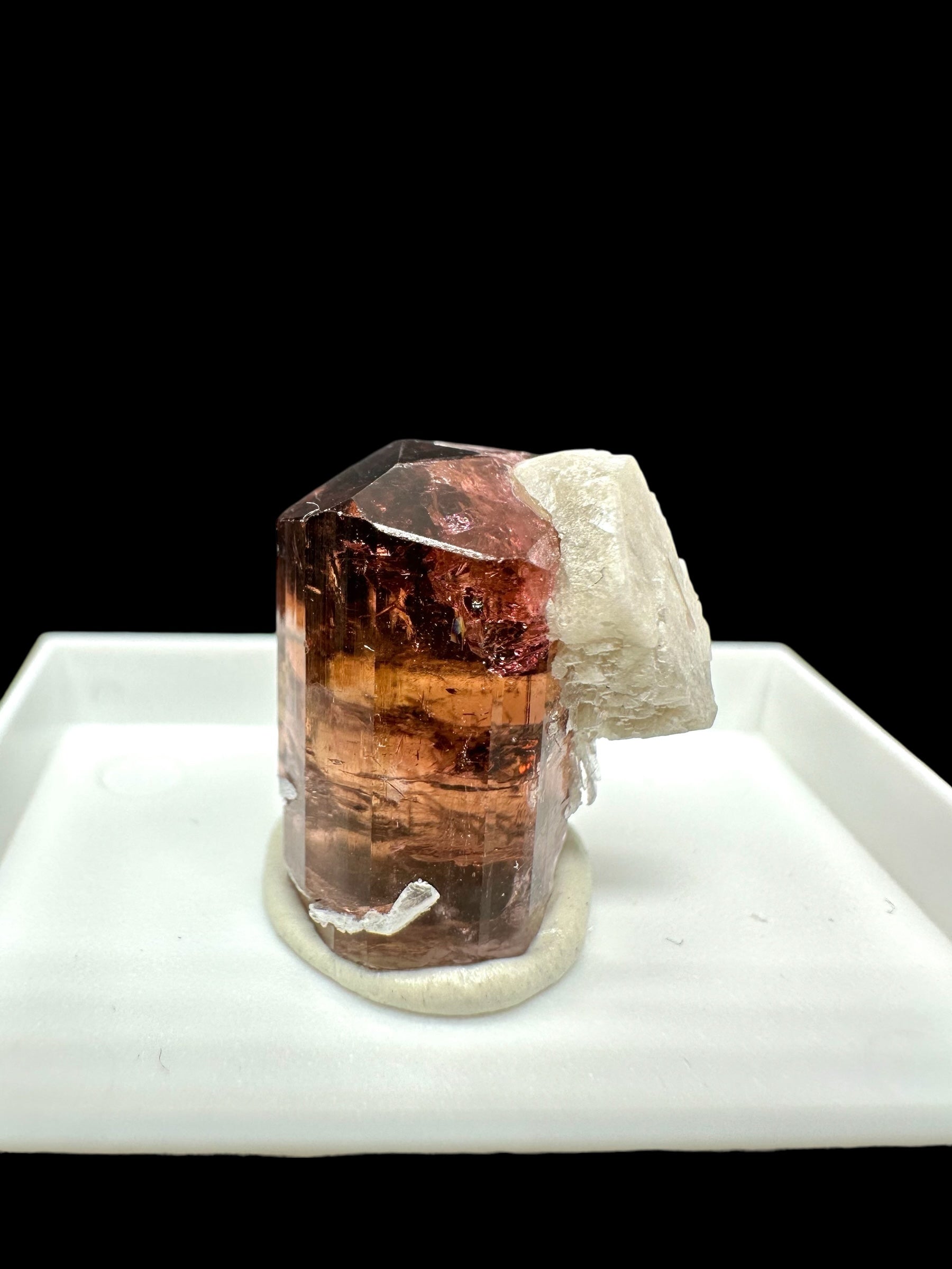 Rubellite / Liddicoatit – Ambolo, Madagascar