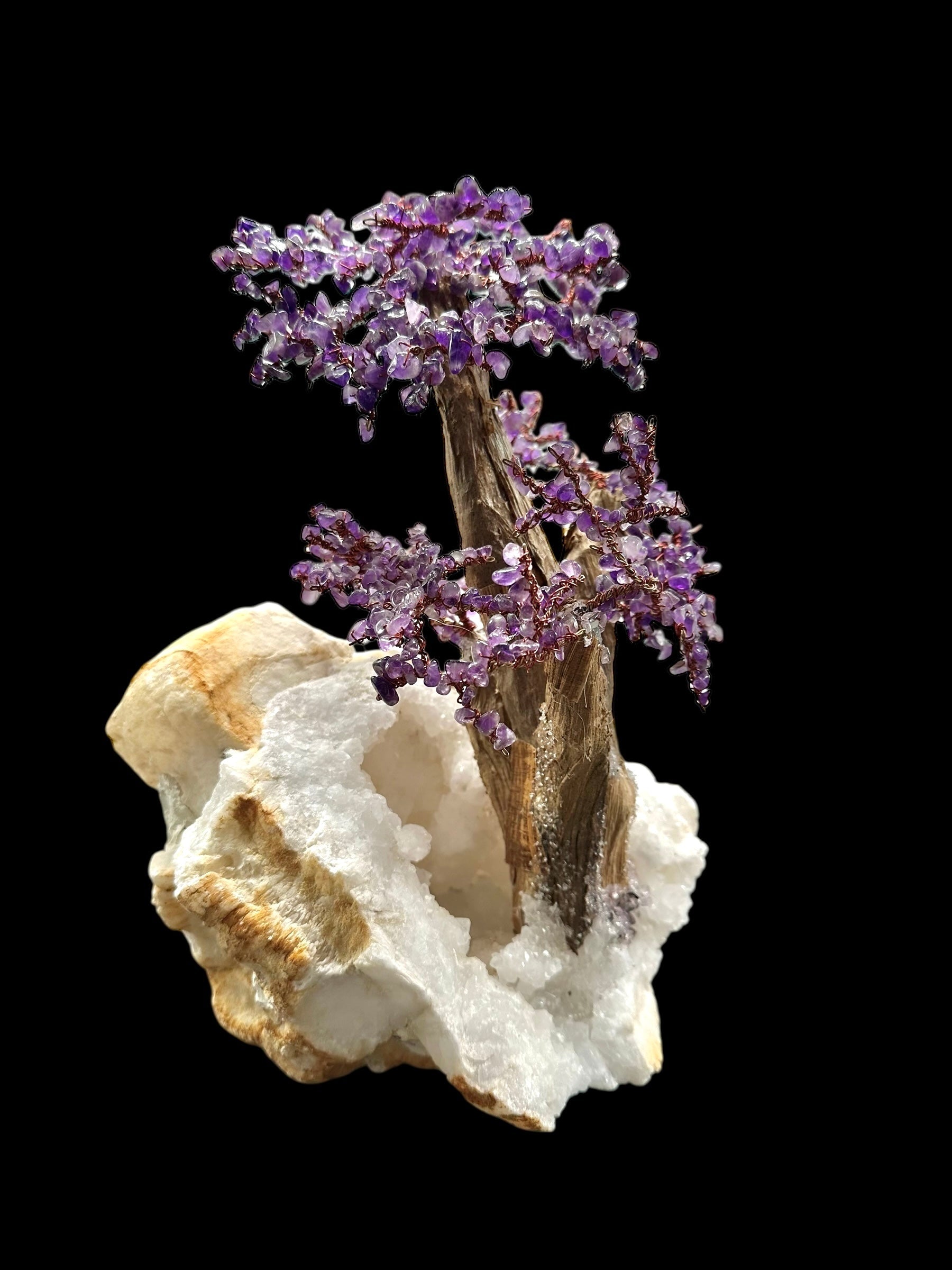 Amethyst tree in crystal geode