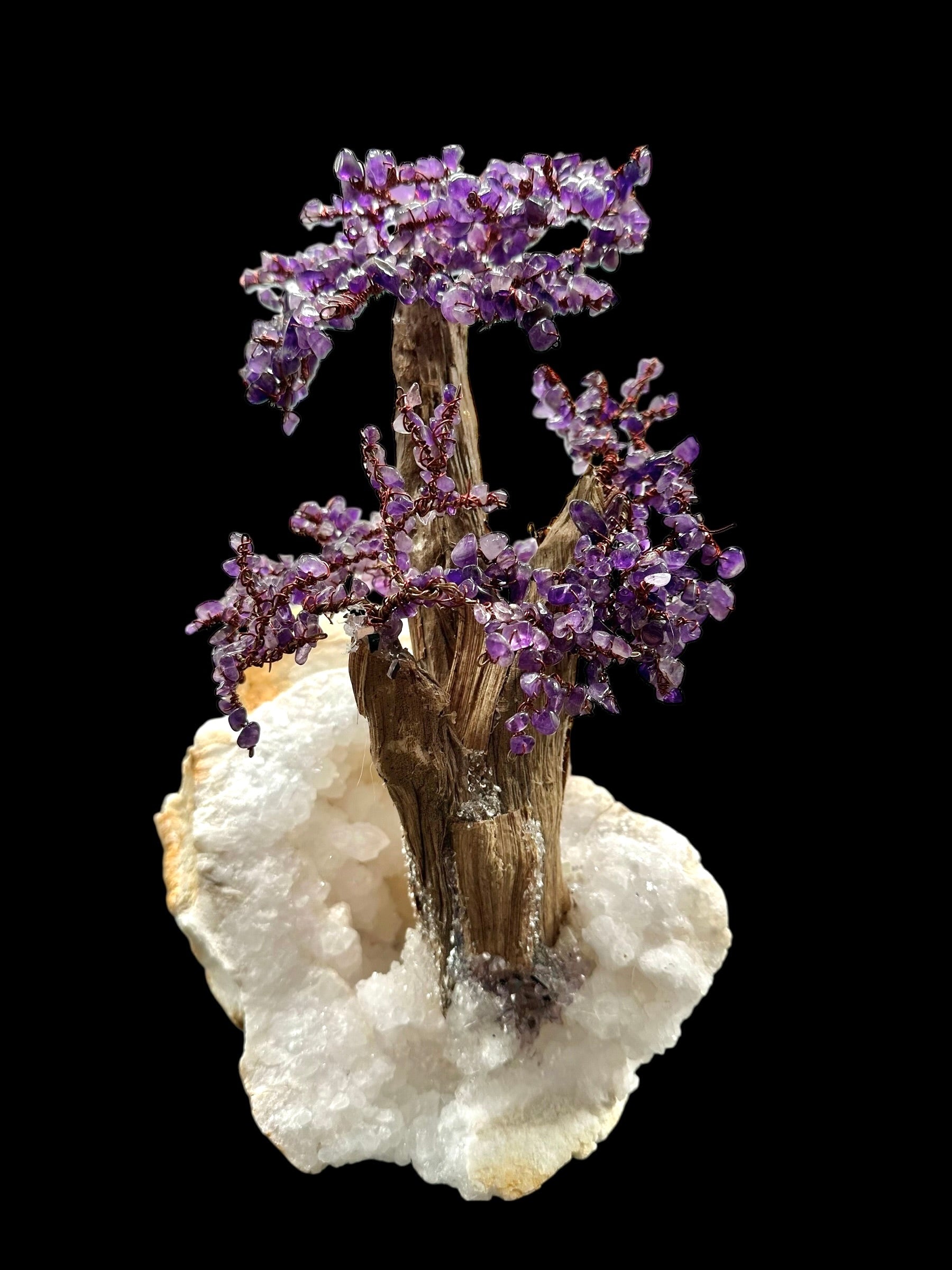 Amethyst tree in crystal geode - STR01