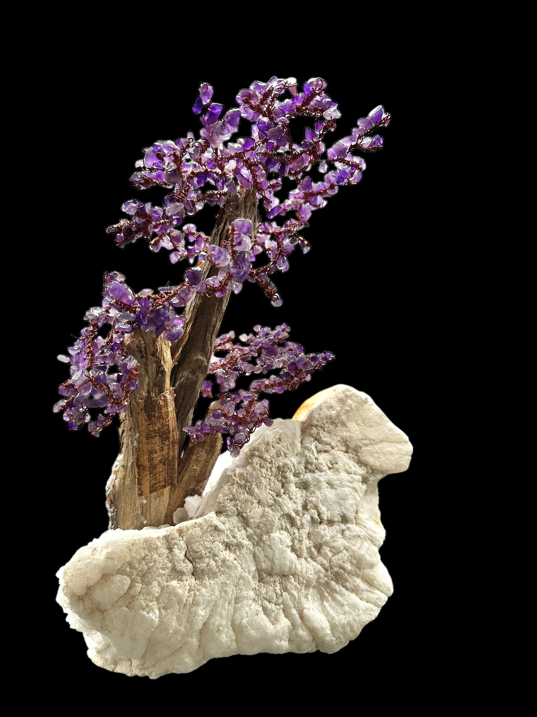 Amethyst tree in crystal geode - STR01
