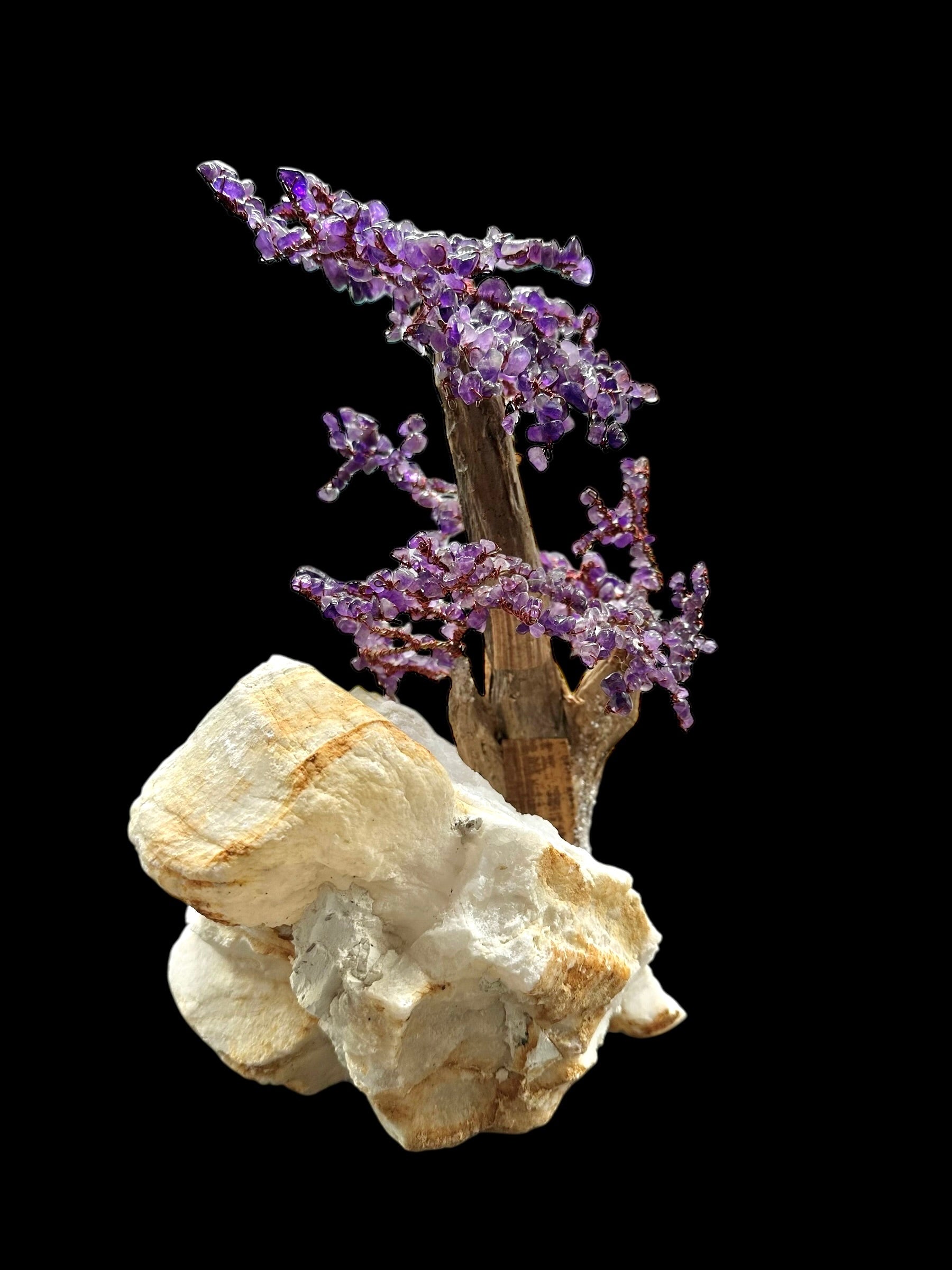 Amethyst tree in crystal geode - STR01