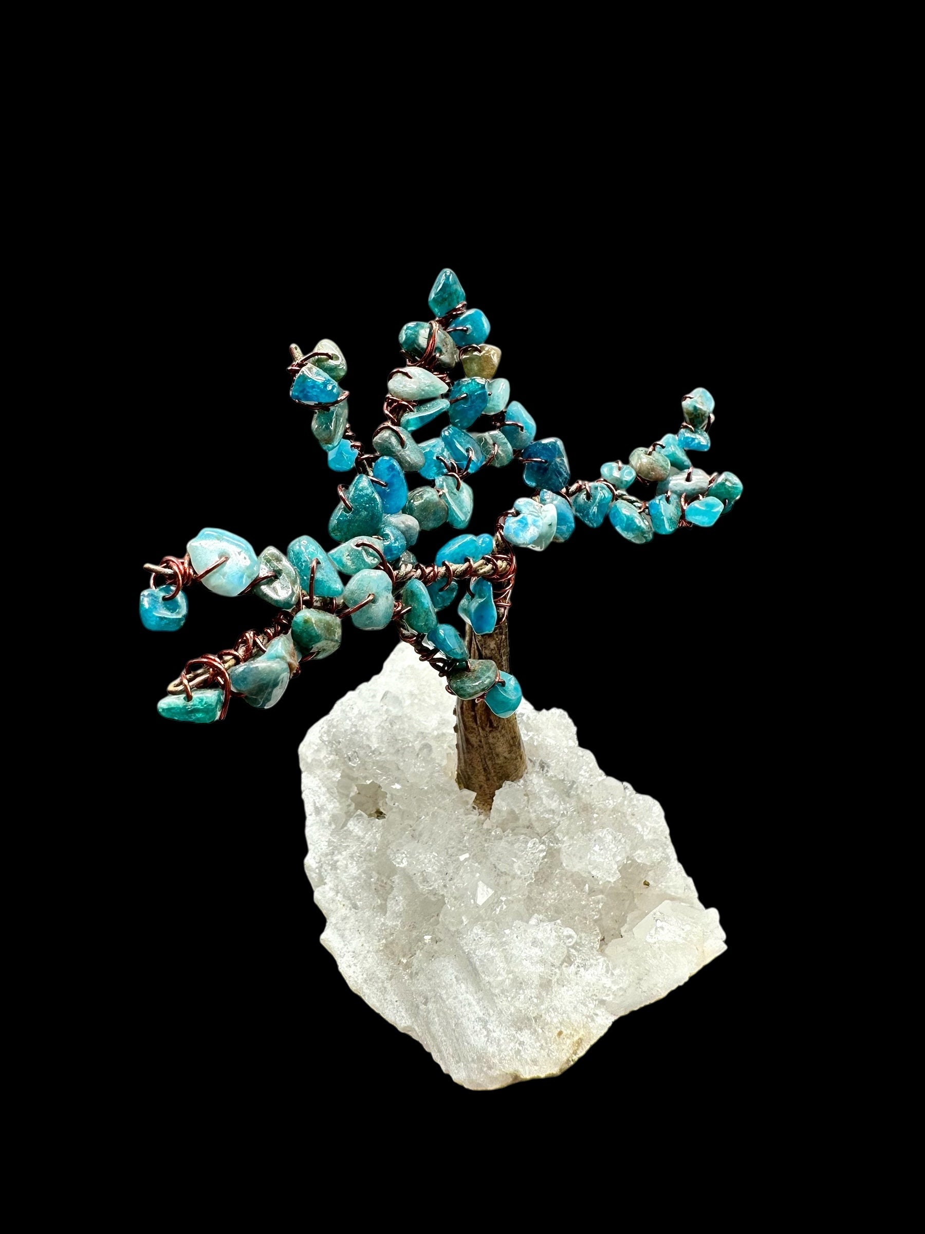 Apatite tree in a crystal geode - STR03