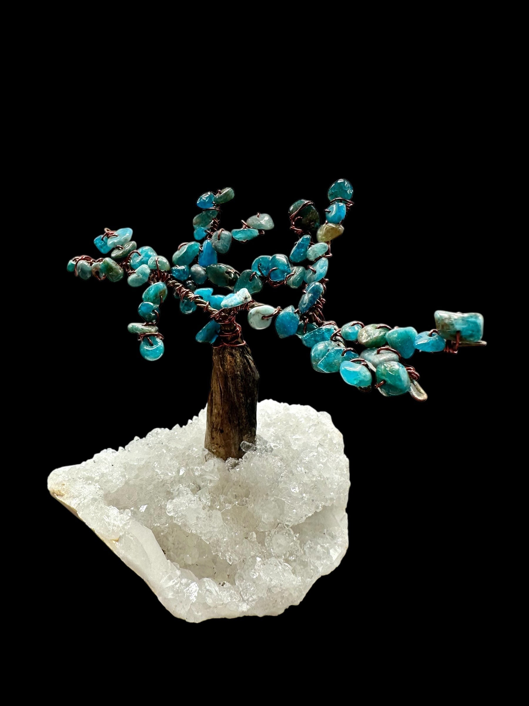 Apatite tree in a crystal geode - STR03