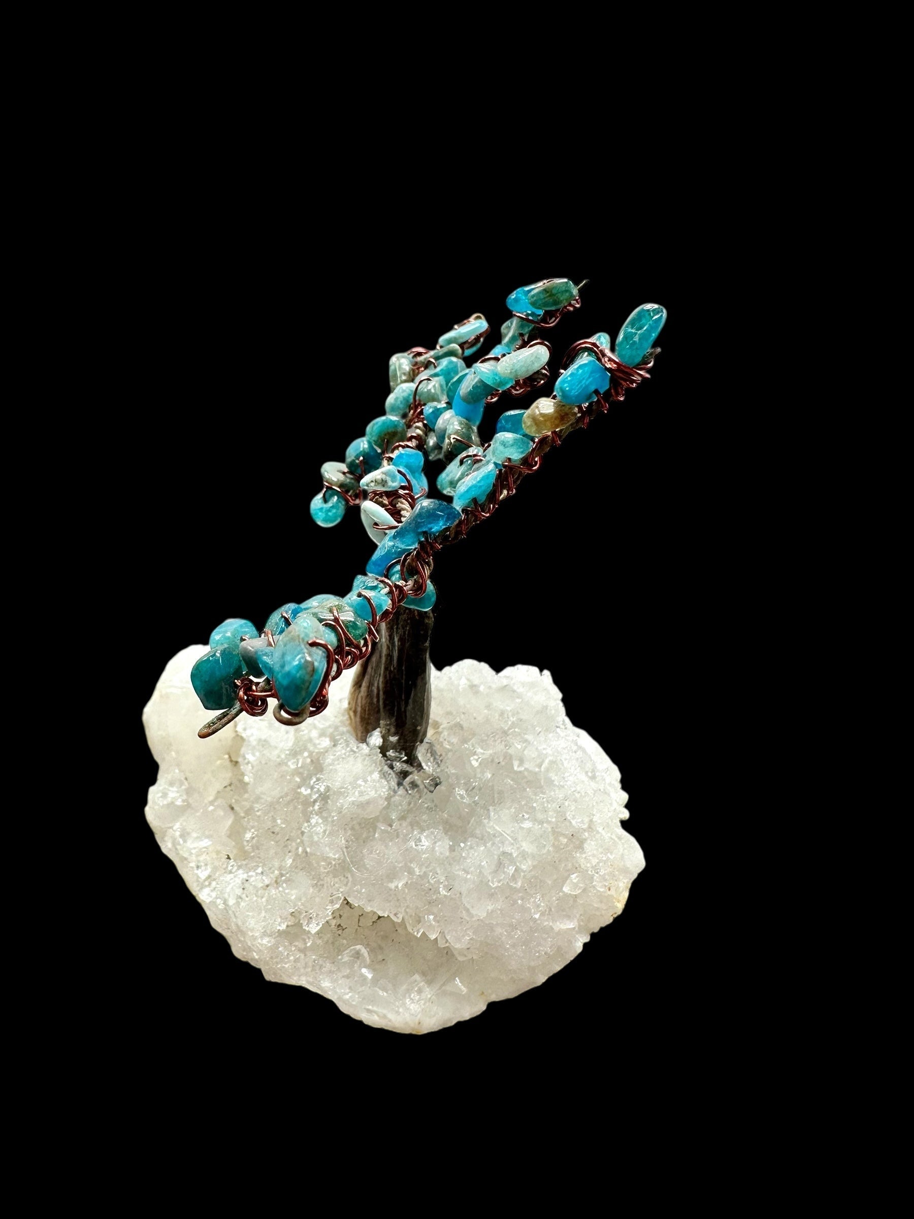 Apatite tree in a crystal geode - STR03