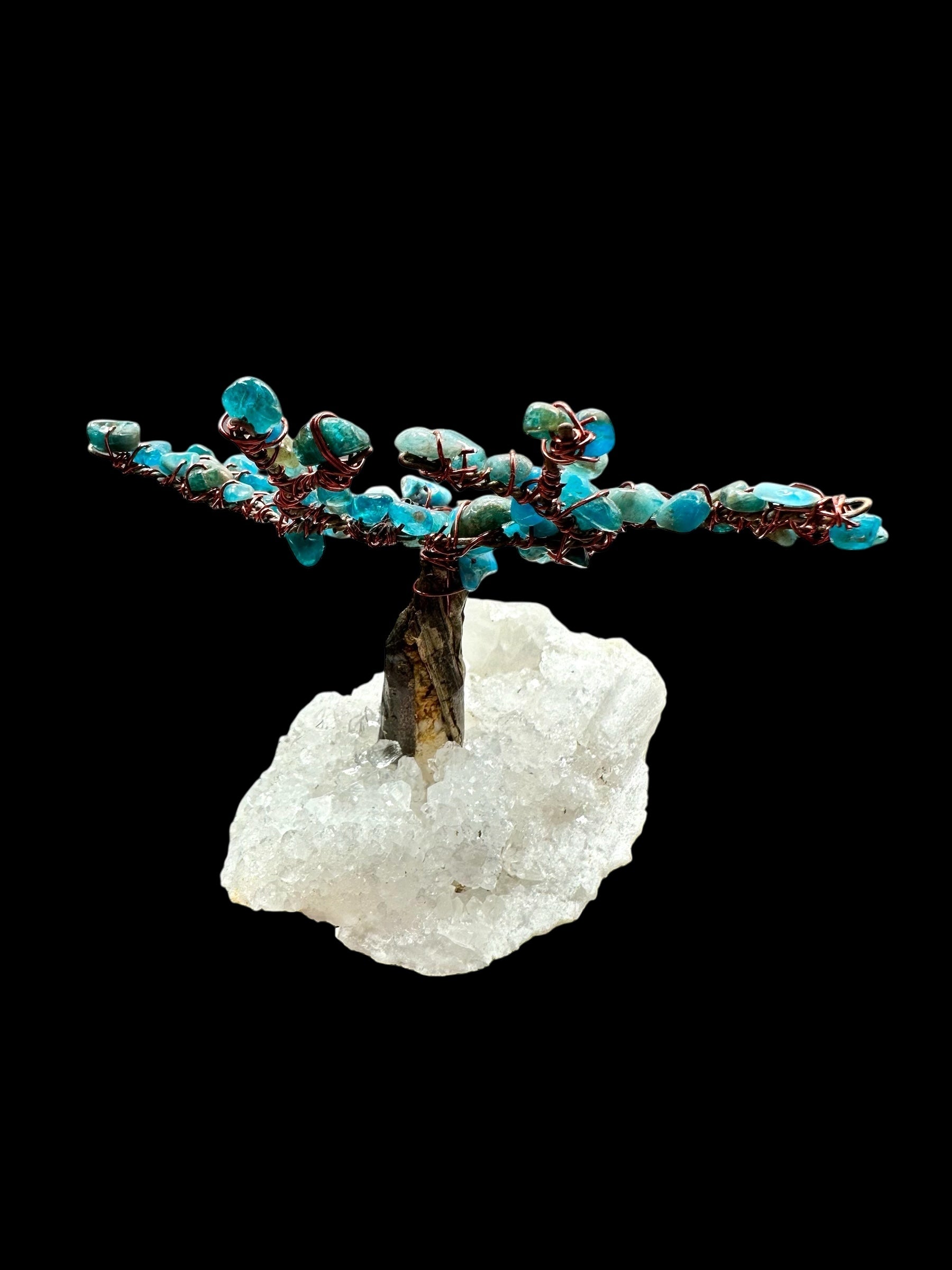 Apatite tree in a crystal geode - STR03