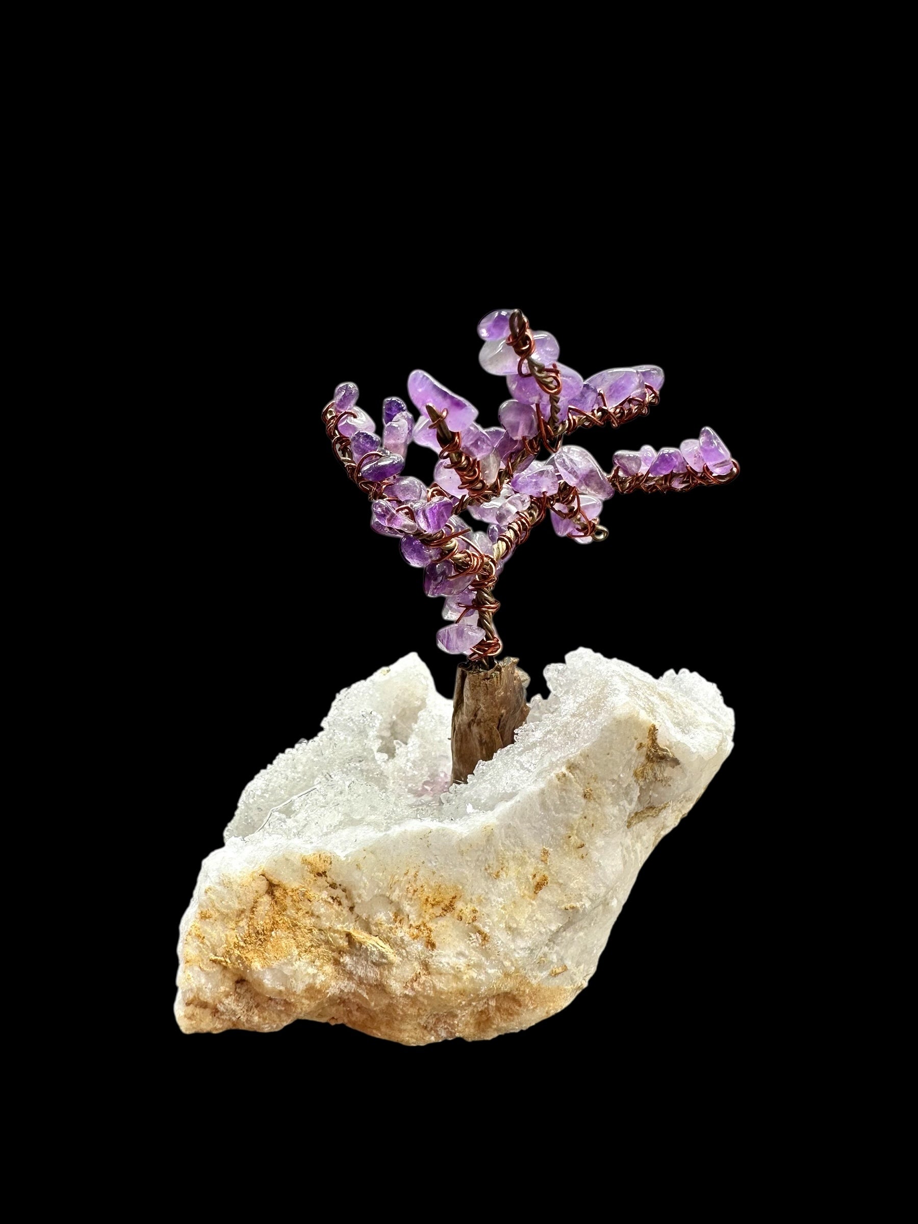 Amethyst tree in crystal geode