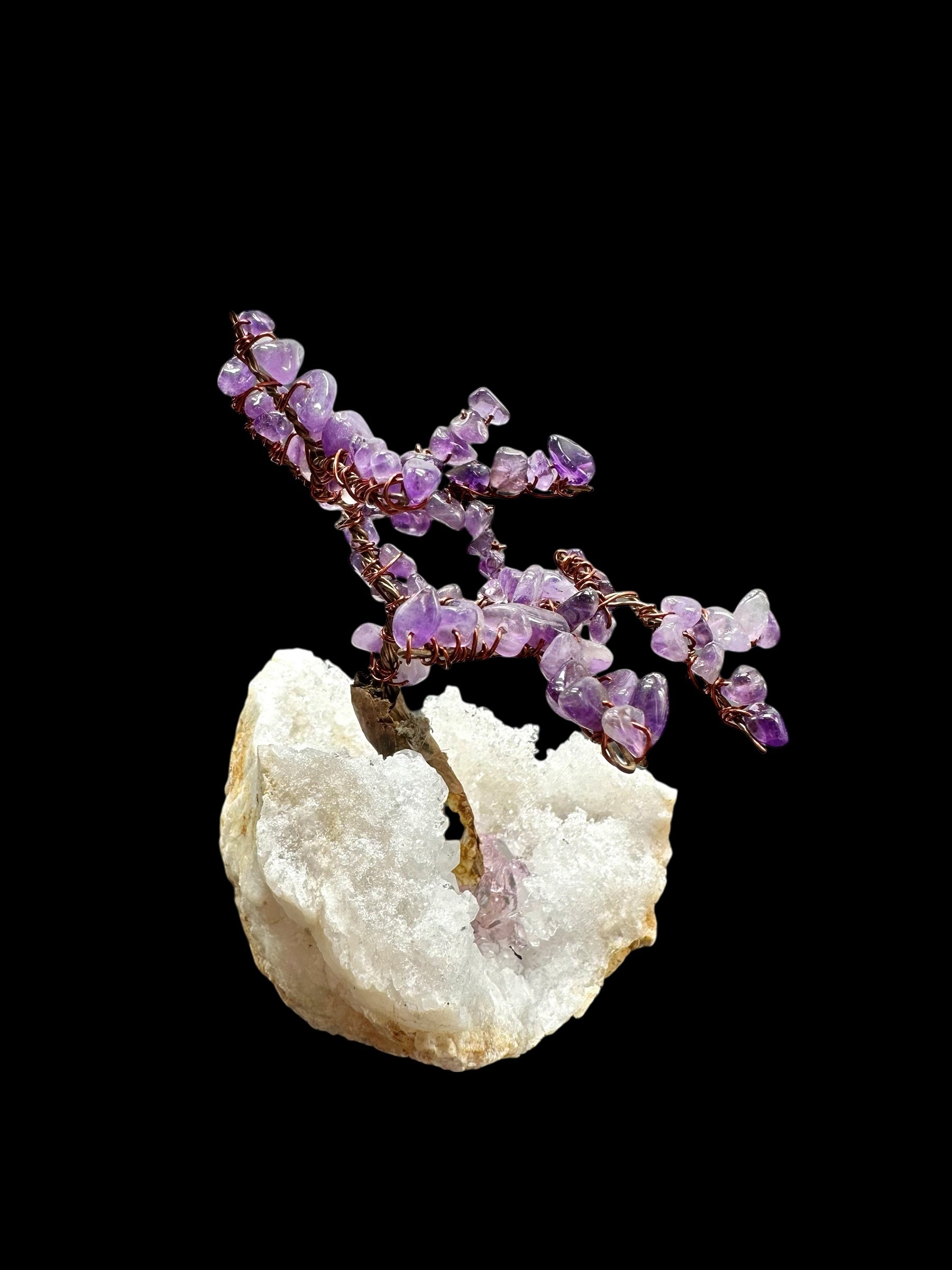 Amethyst tree in crystal geode - STR04