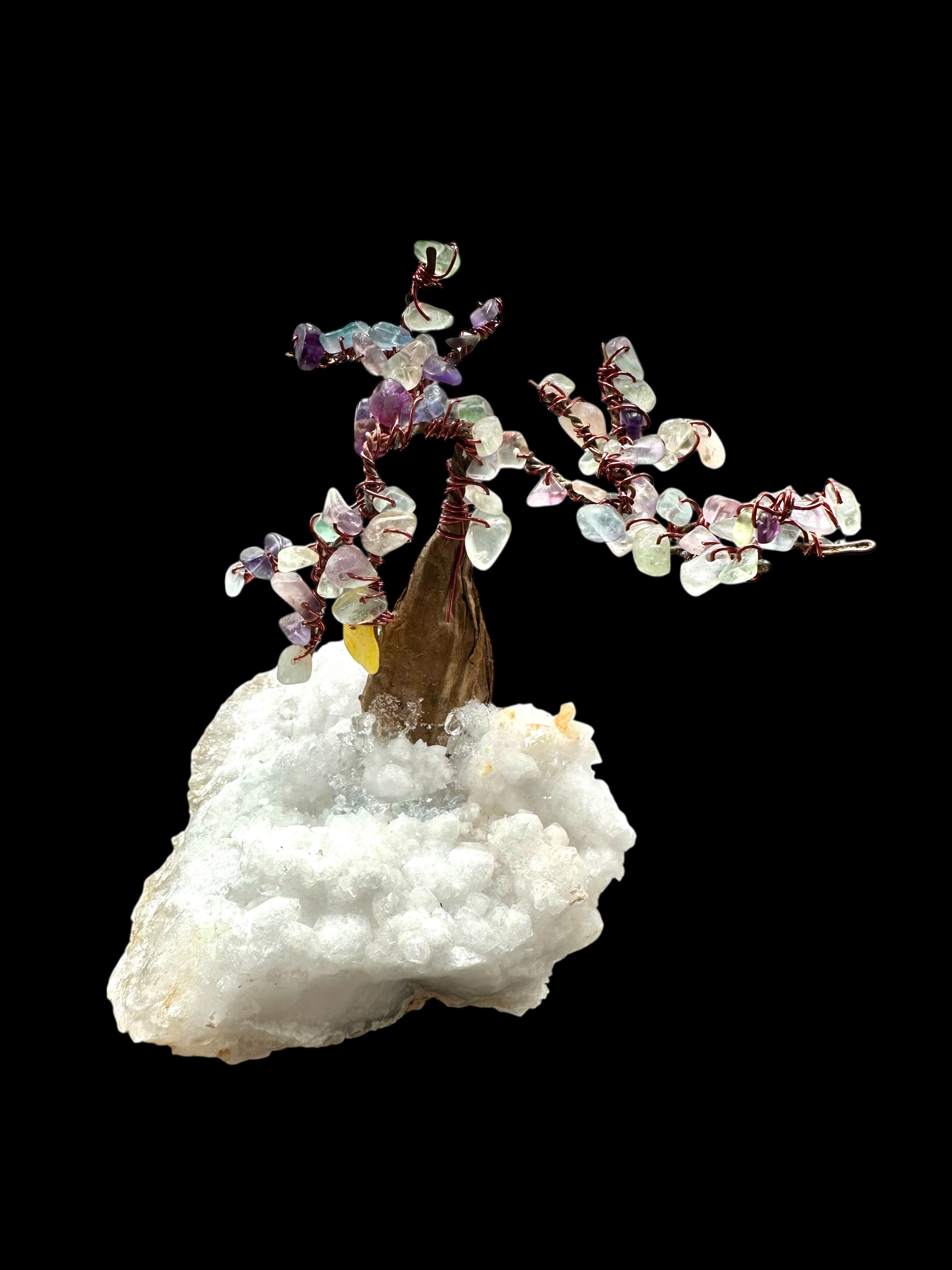 Fluorite tree in crystal geode - STR07