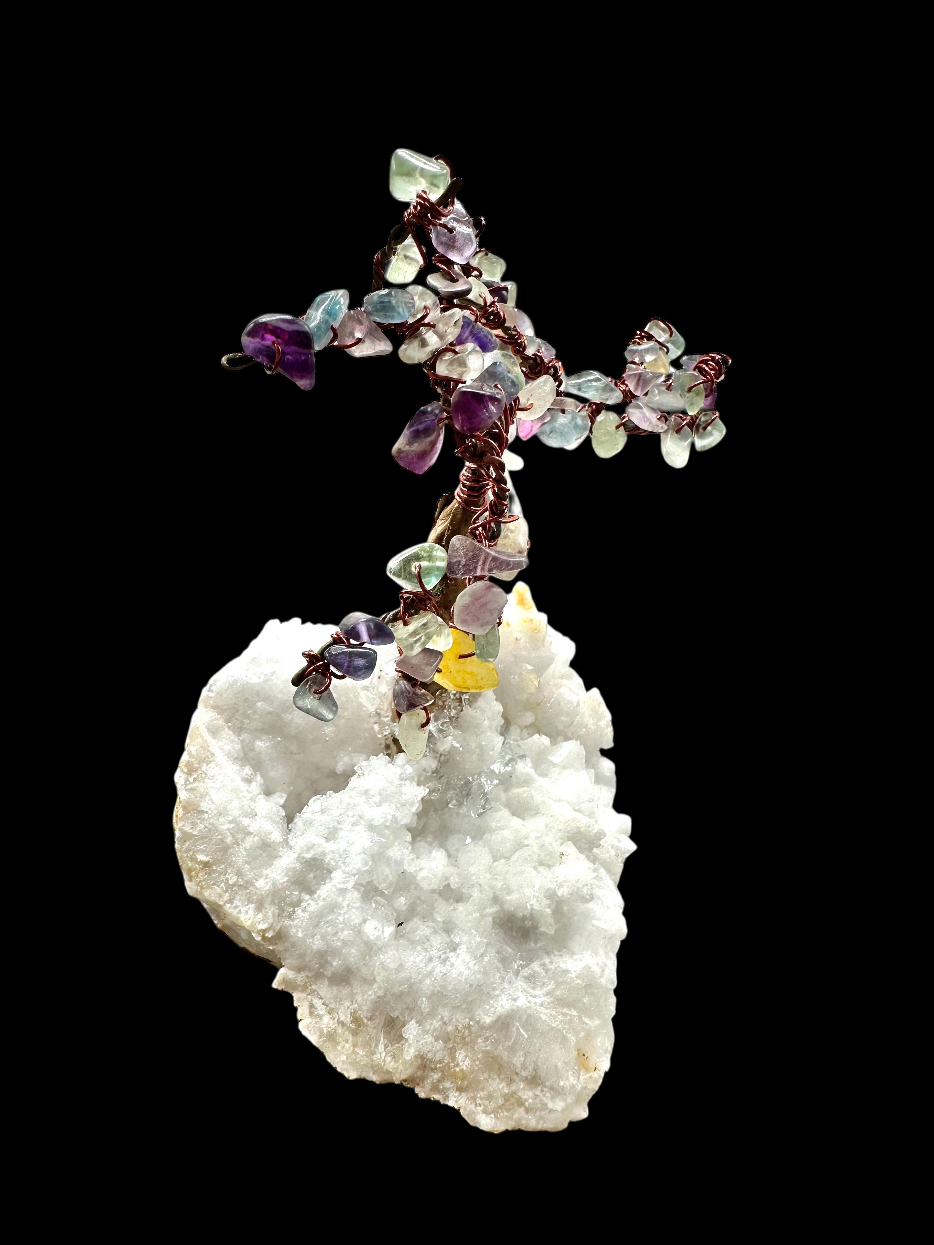Fluorite tree in crystal geode - STR07