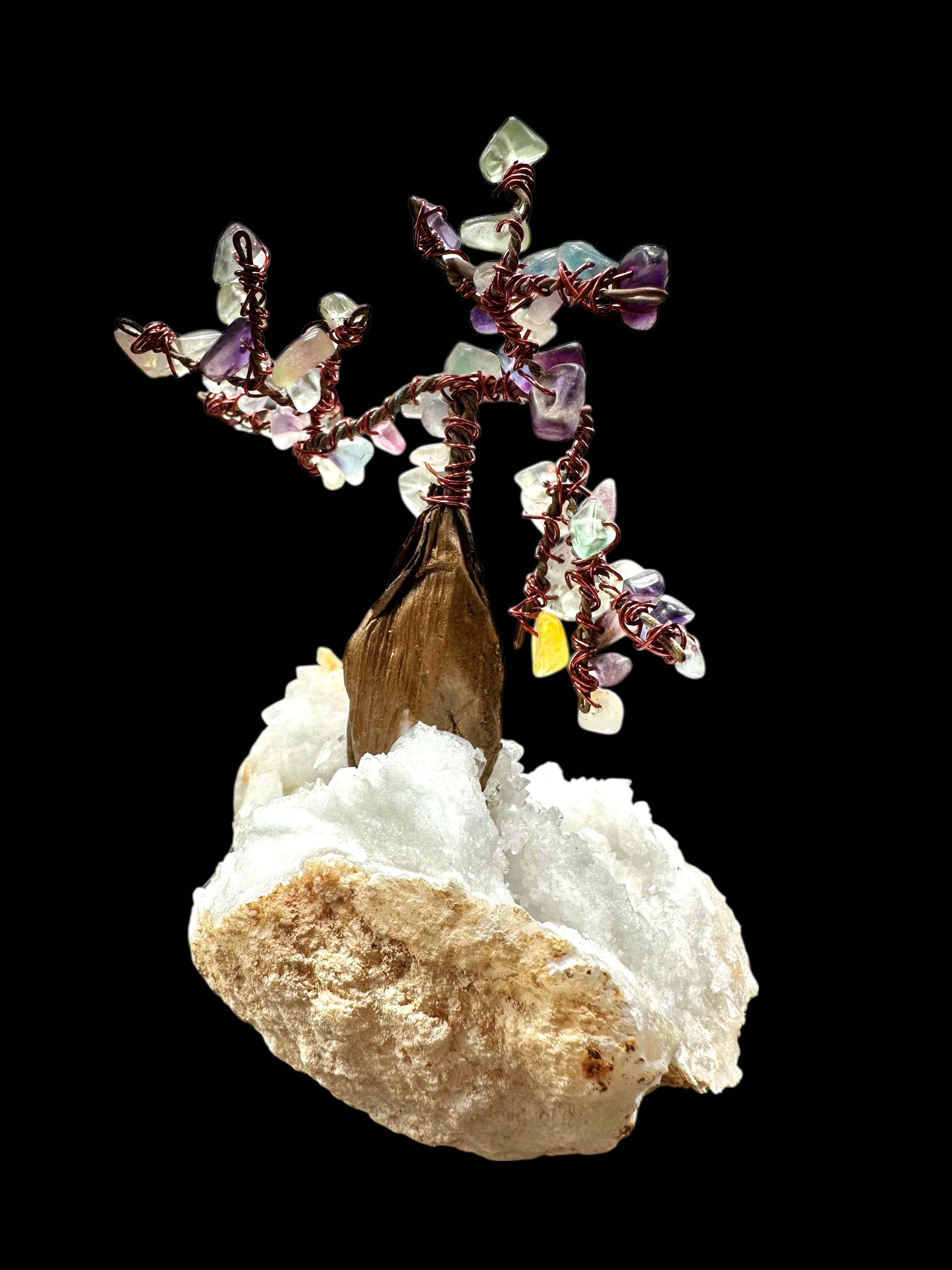 Fluorite tree in crystal geode - STR07
