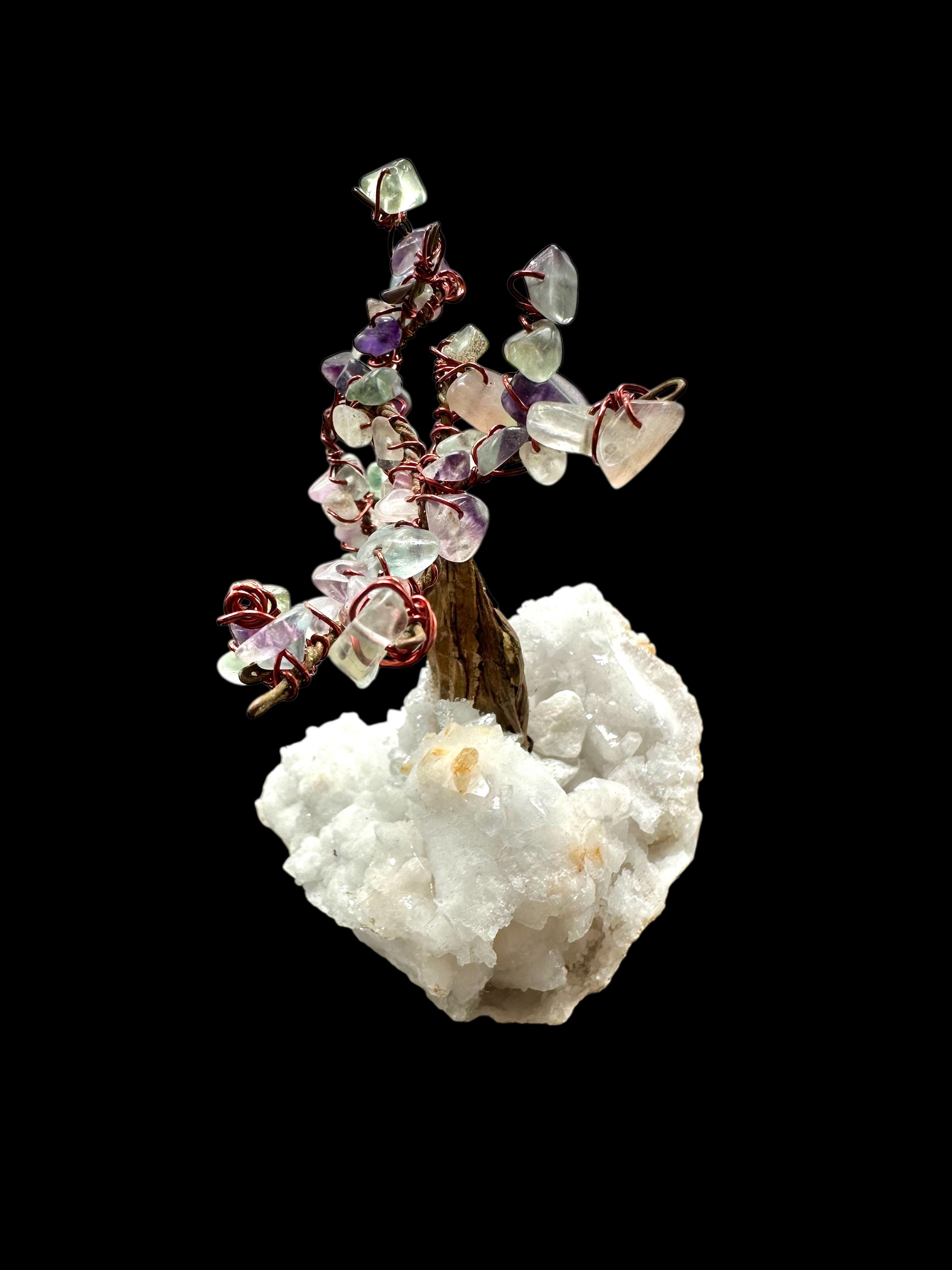 Fluorite tree in crystal geode - STR07