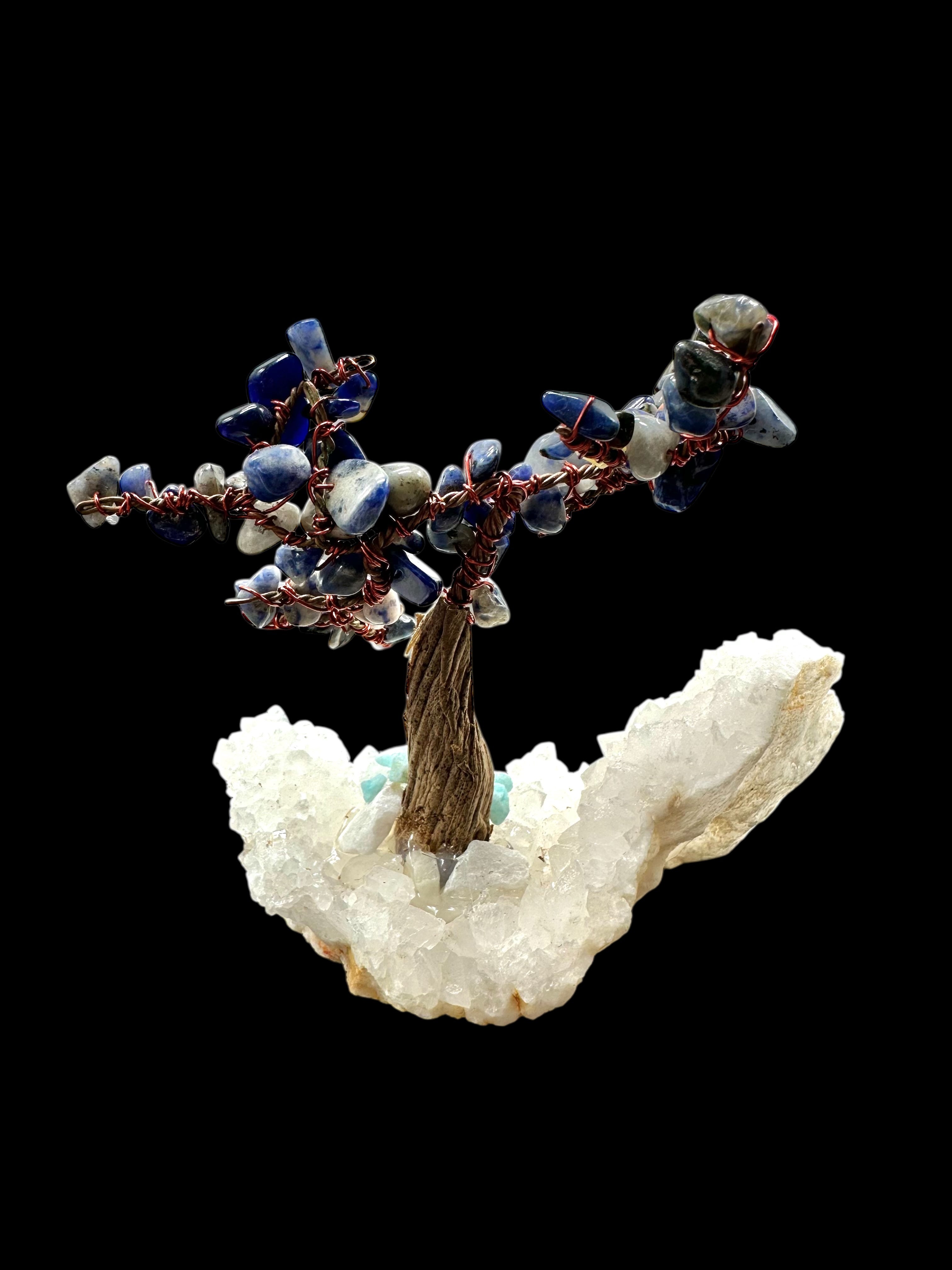 Sodalite tree in crystal geode - STR08