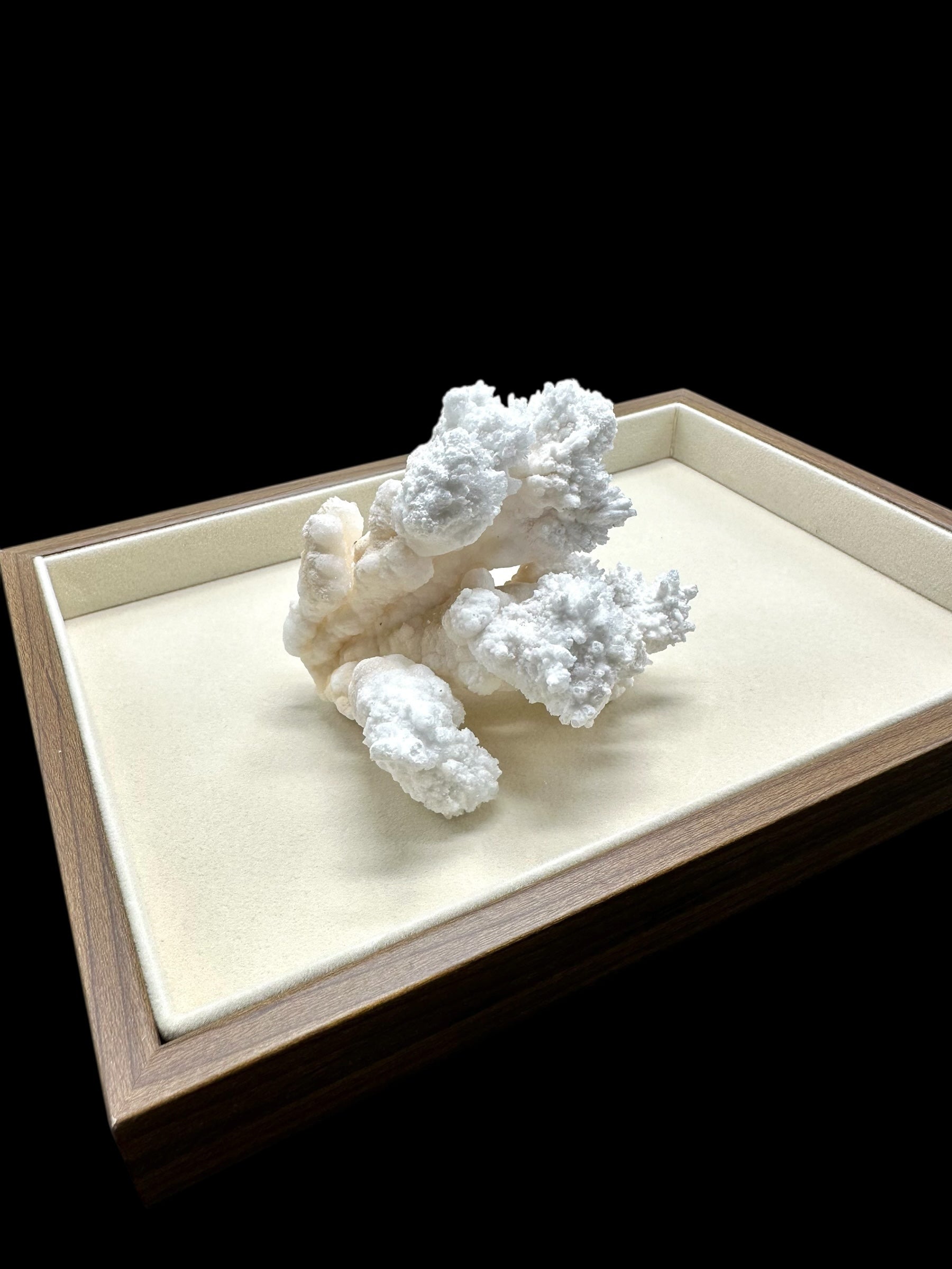 Tray for jewellery or minerals - TAC02