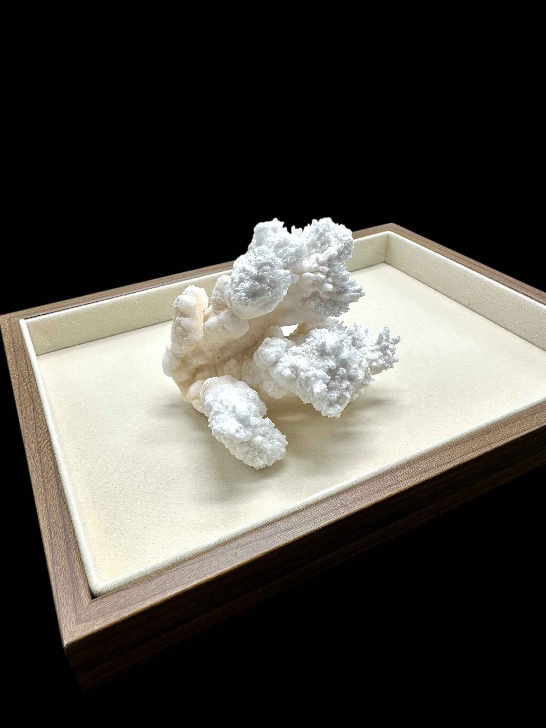 Tray for jewellery or minerals - TAC02