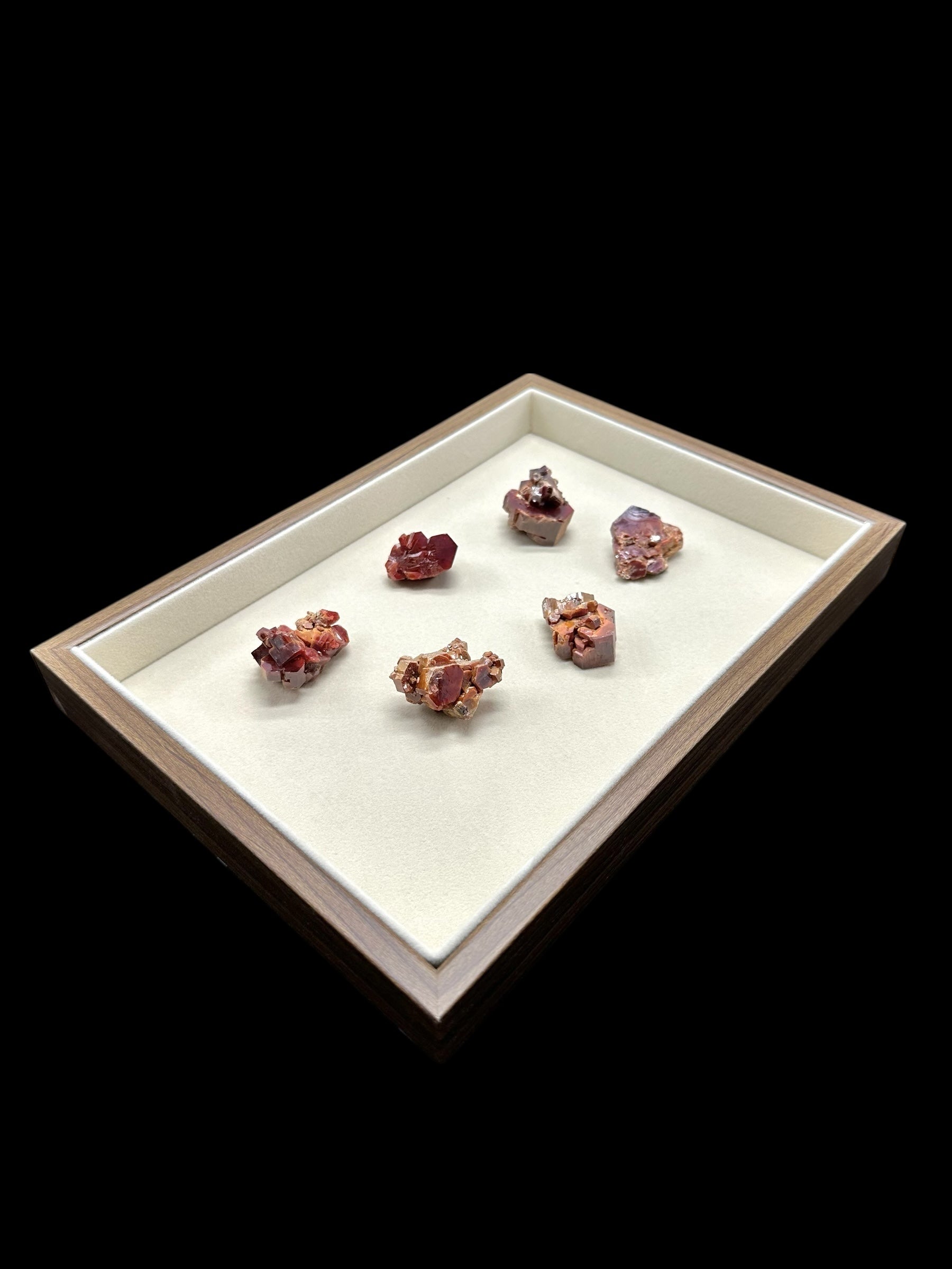 Tray for jewellery or minerals - TAC02