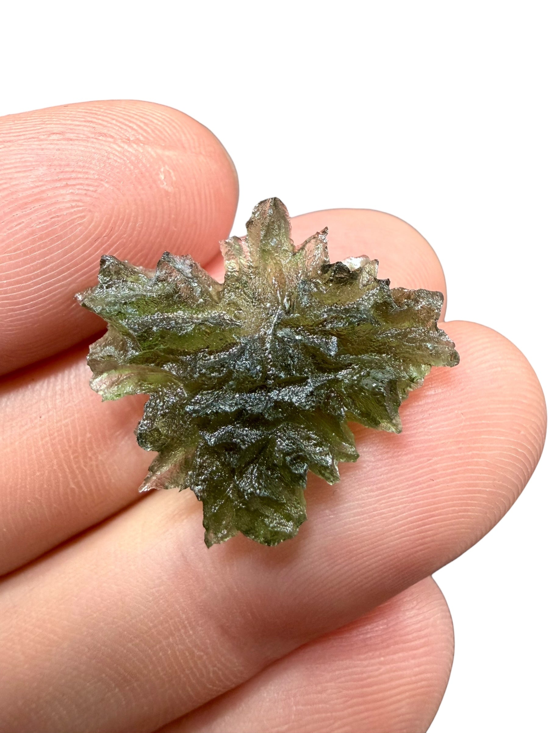 Moldavite – Besednice Jezkovna – 2,5g - BJ262